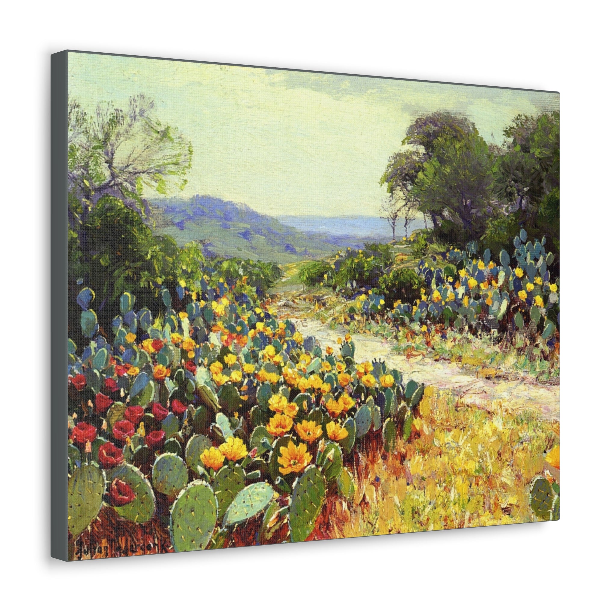 Cactus in Bloom - Julian Onderdonk - Canvas Gallery Wraps - Spruced Roost