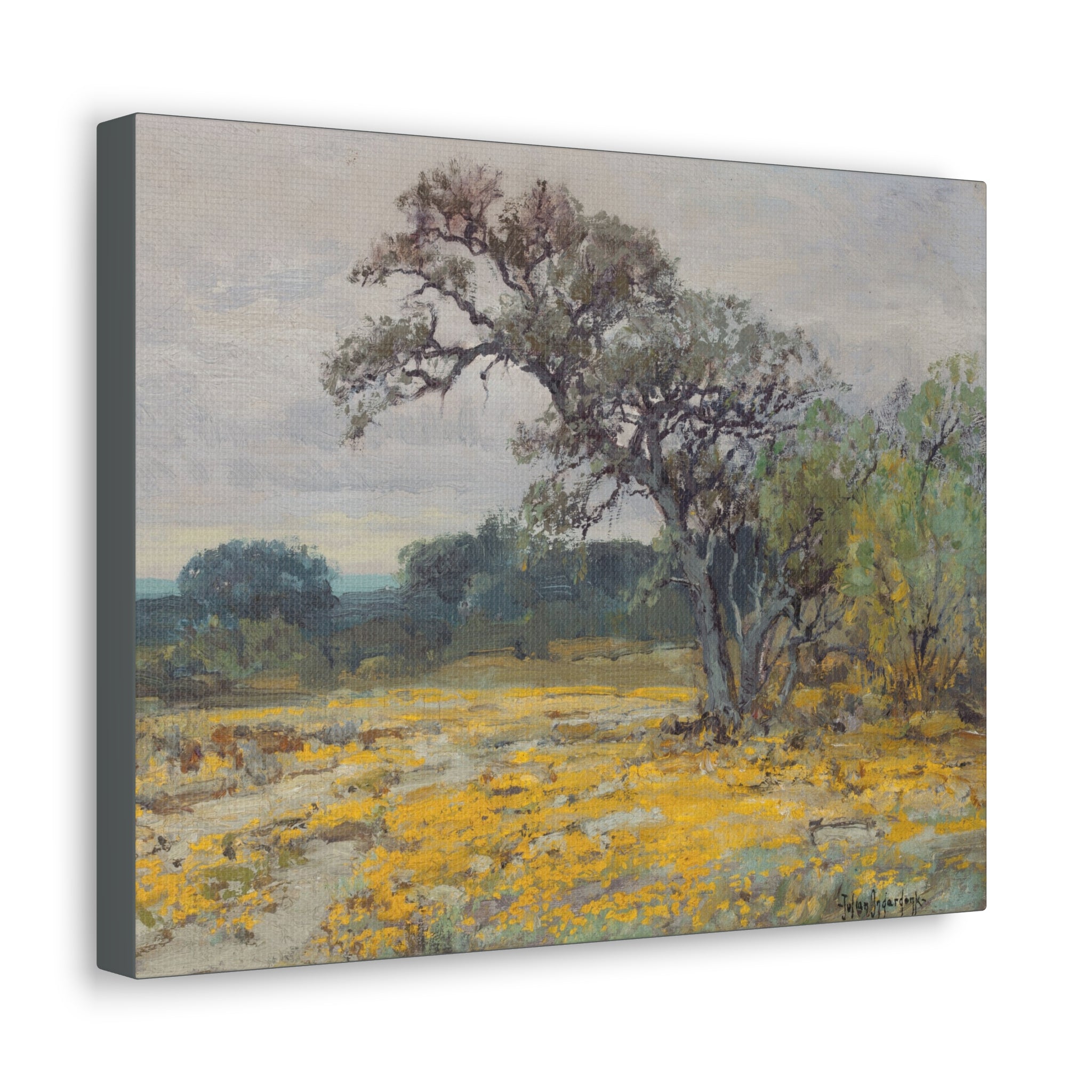Coreopsis, Texas, 1919 - Julian Onderdonk - Canvas Gallery Wraps - Spruced Roost