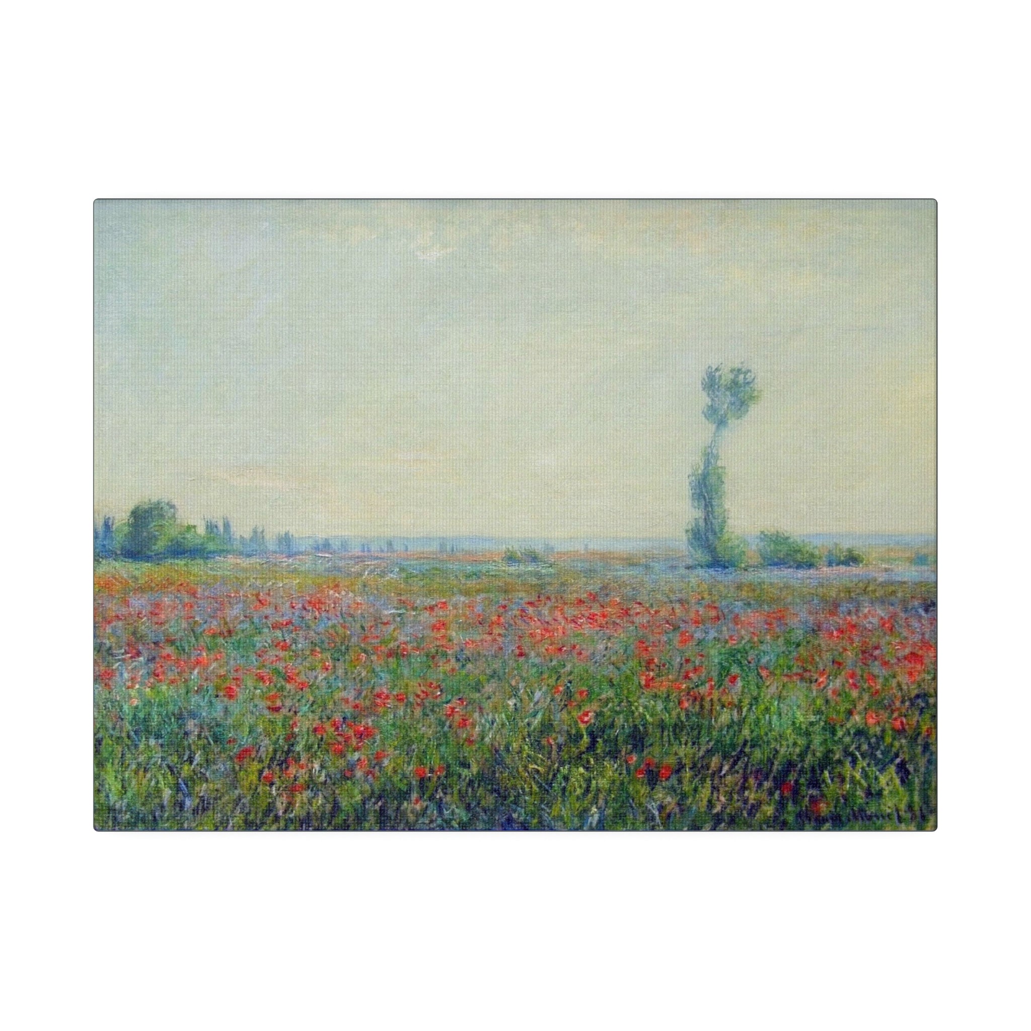 Poppy Field Claude Monet - Matte Canvas, Stretched, 0.75"