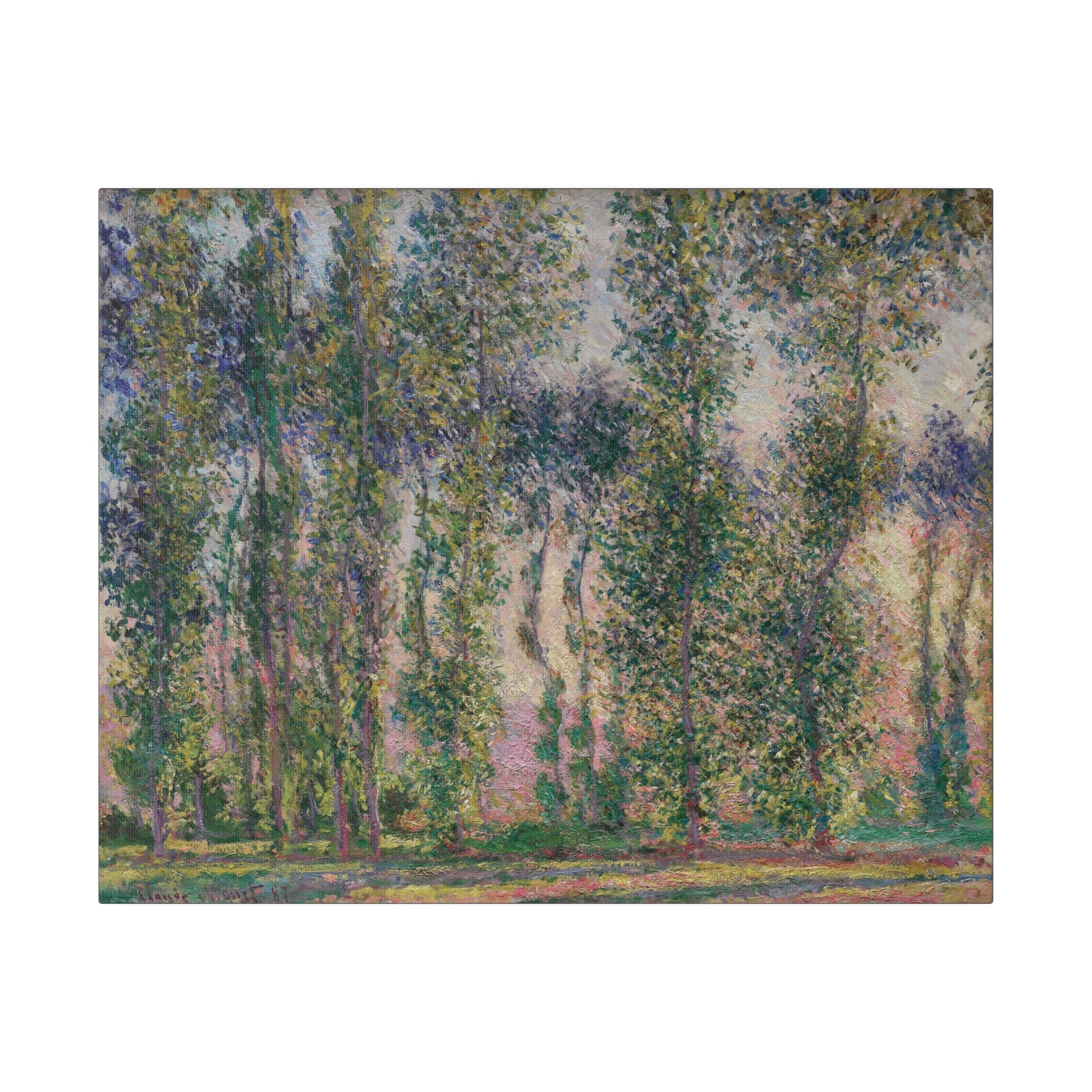 Poplars at Giverny 1887 Claude Monet - Matte Canvas, Stretched, 0.75" - Spruced Roost