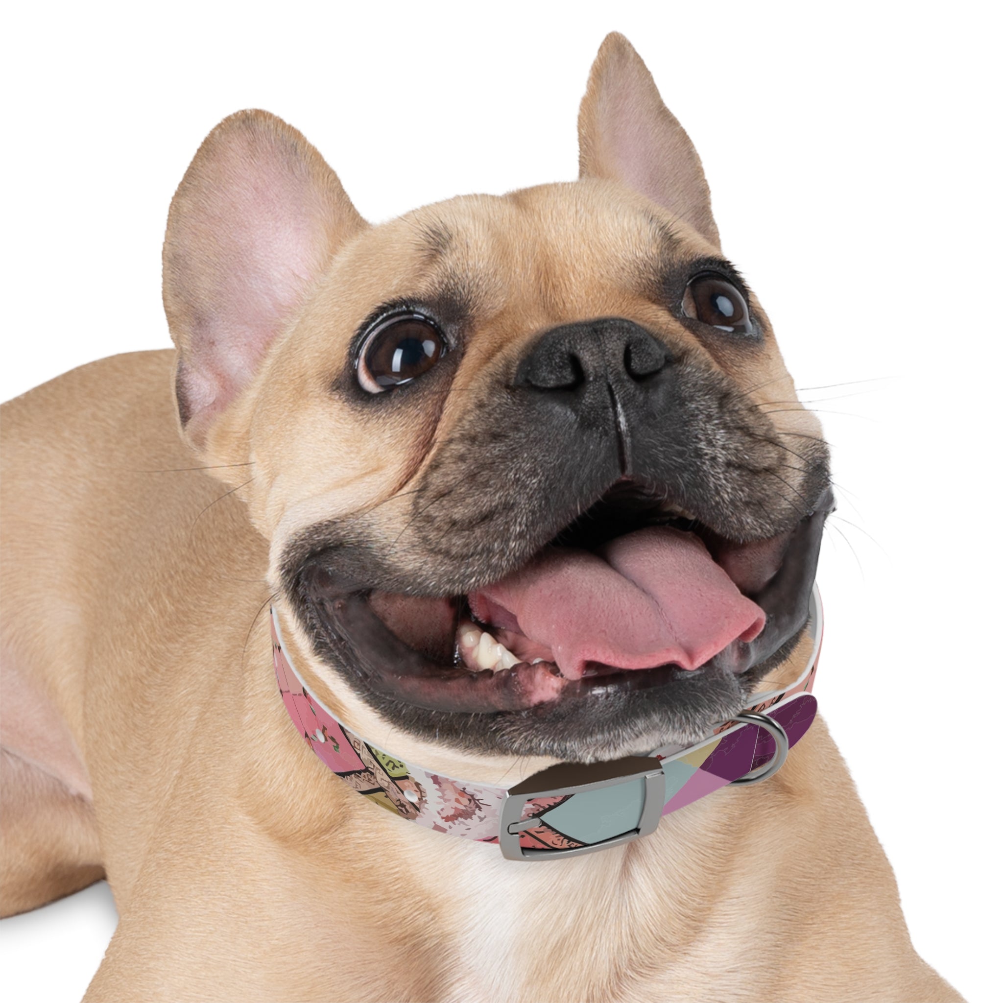 Madras Lace - Dog Collar