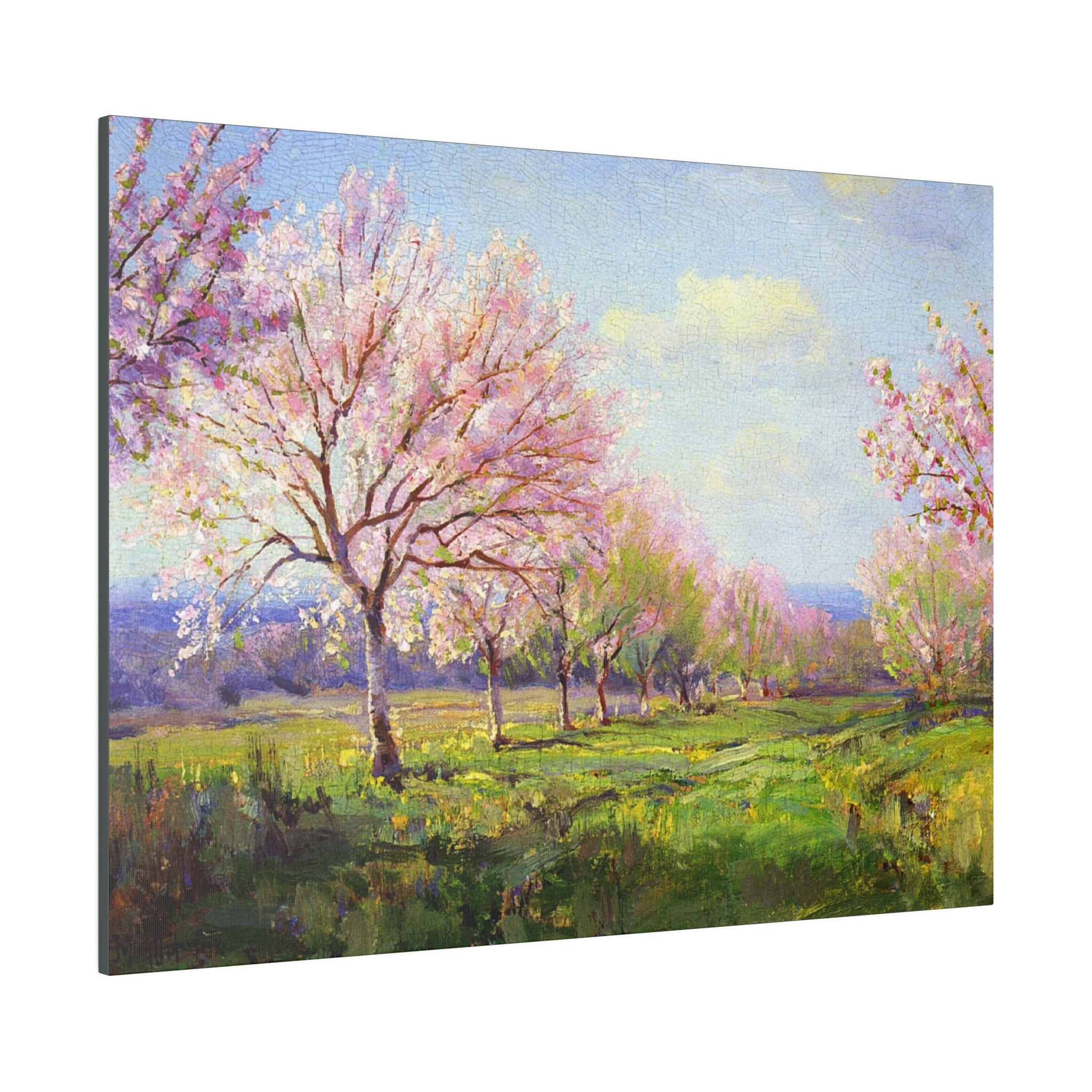 Peach Orchard on Mavericks Farm - Julian Onderdonk - Matte Canvas, Stretched, 0.75" - Spruced Roost