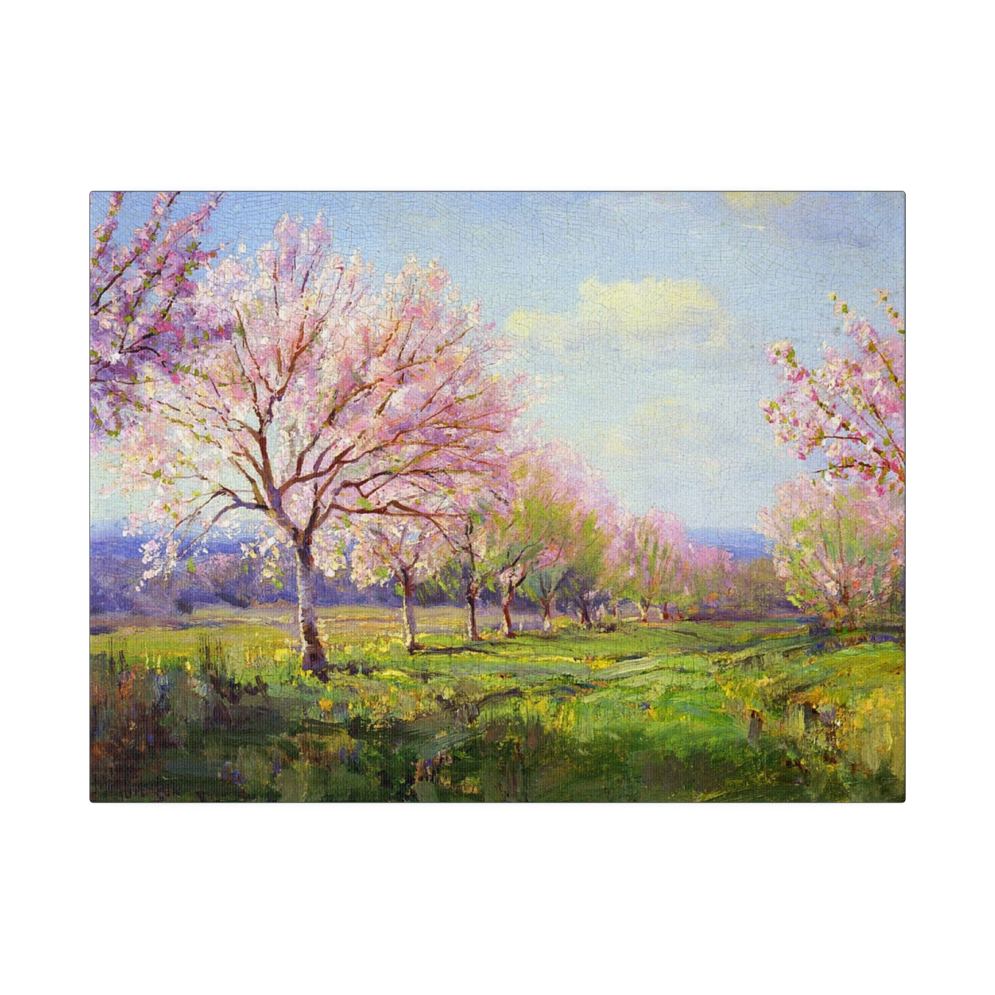 Peach Orchard on Mavericks Farm - Julian Onderdonk - Matte Canvas, Stretched, 0.75" - Spruced Roost