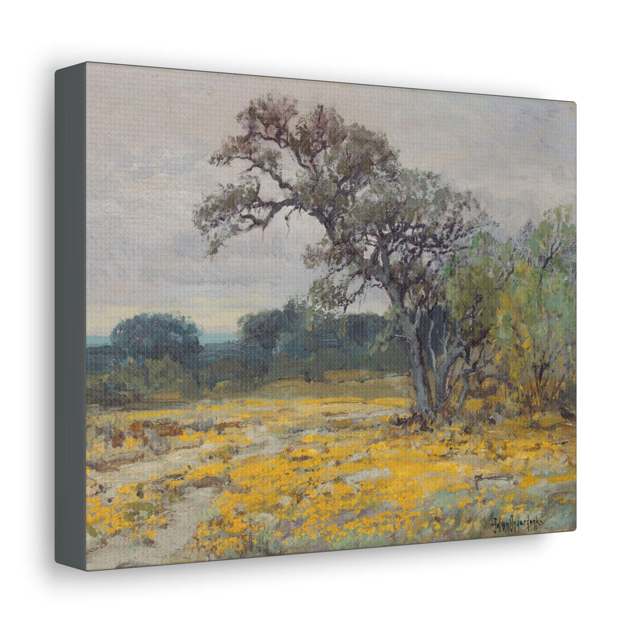Coreopsis, Texas, 1919 - Julian Onderdonk - Canvas Gallery Wraps - Spruced Roost