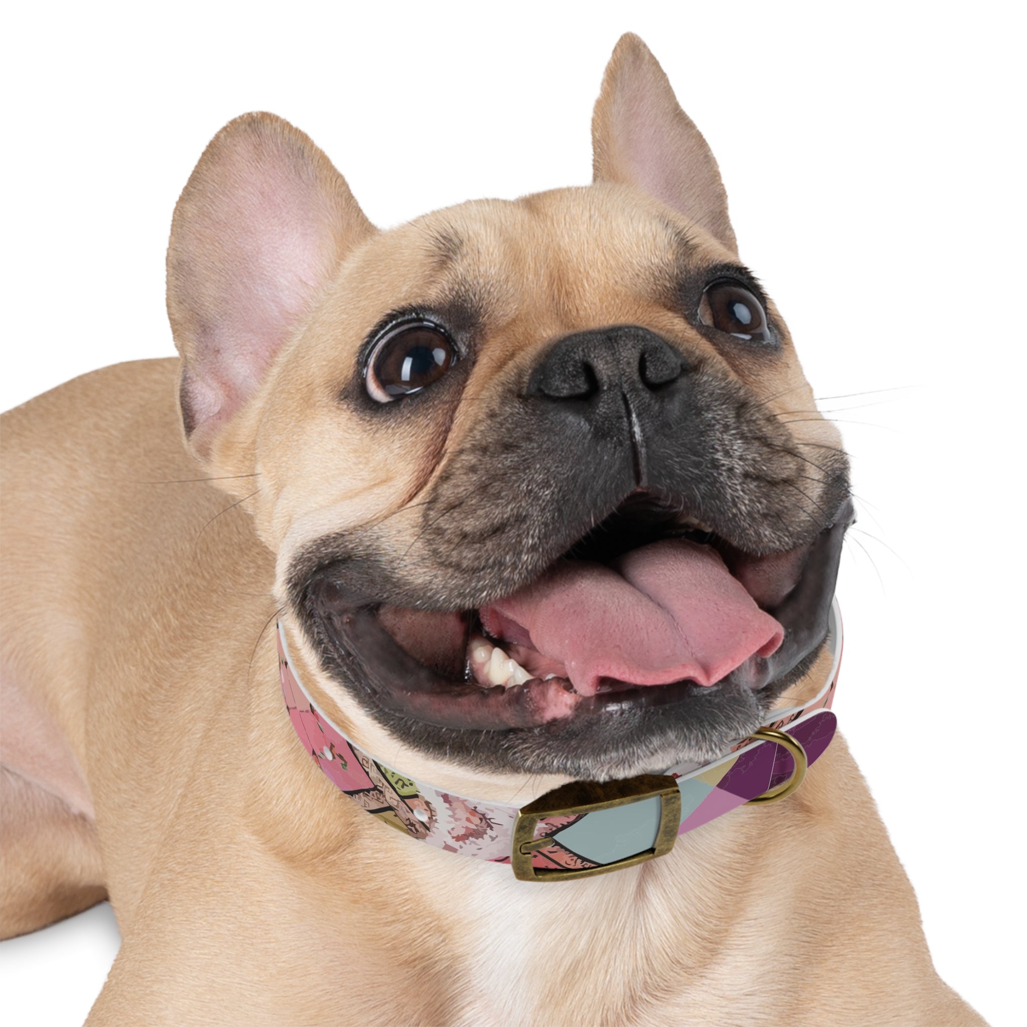 Madras Lace - Dog Collar