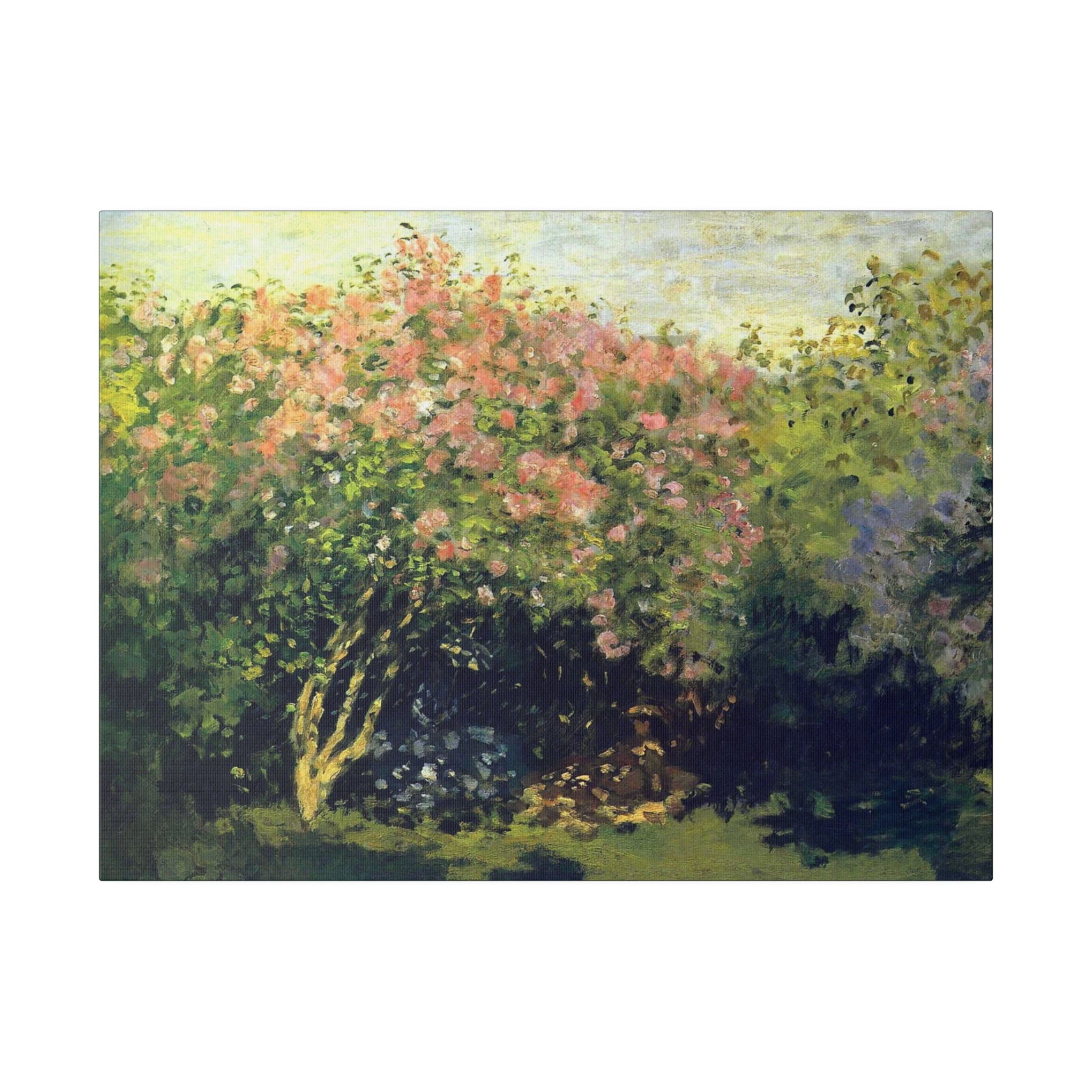 Lilacs in the Sun - Claude Monet - Matte Canvas, Stretched, 0.75" - Spruced Roost