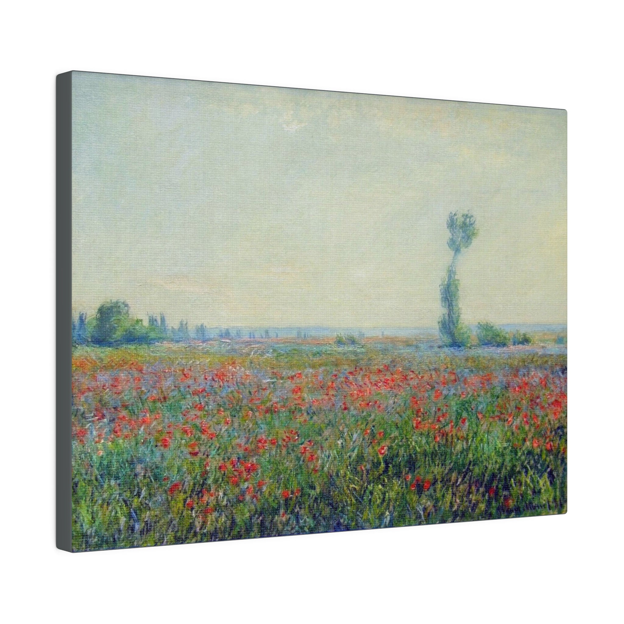 Poppy Field Claude Monet - Matte Canvas, Stretched, 0.75" - Spruced Roost