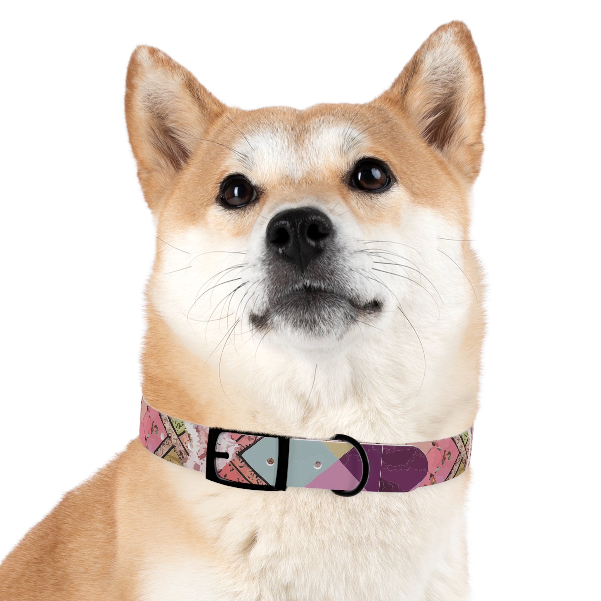 Madras Lace - Dog Collar
