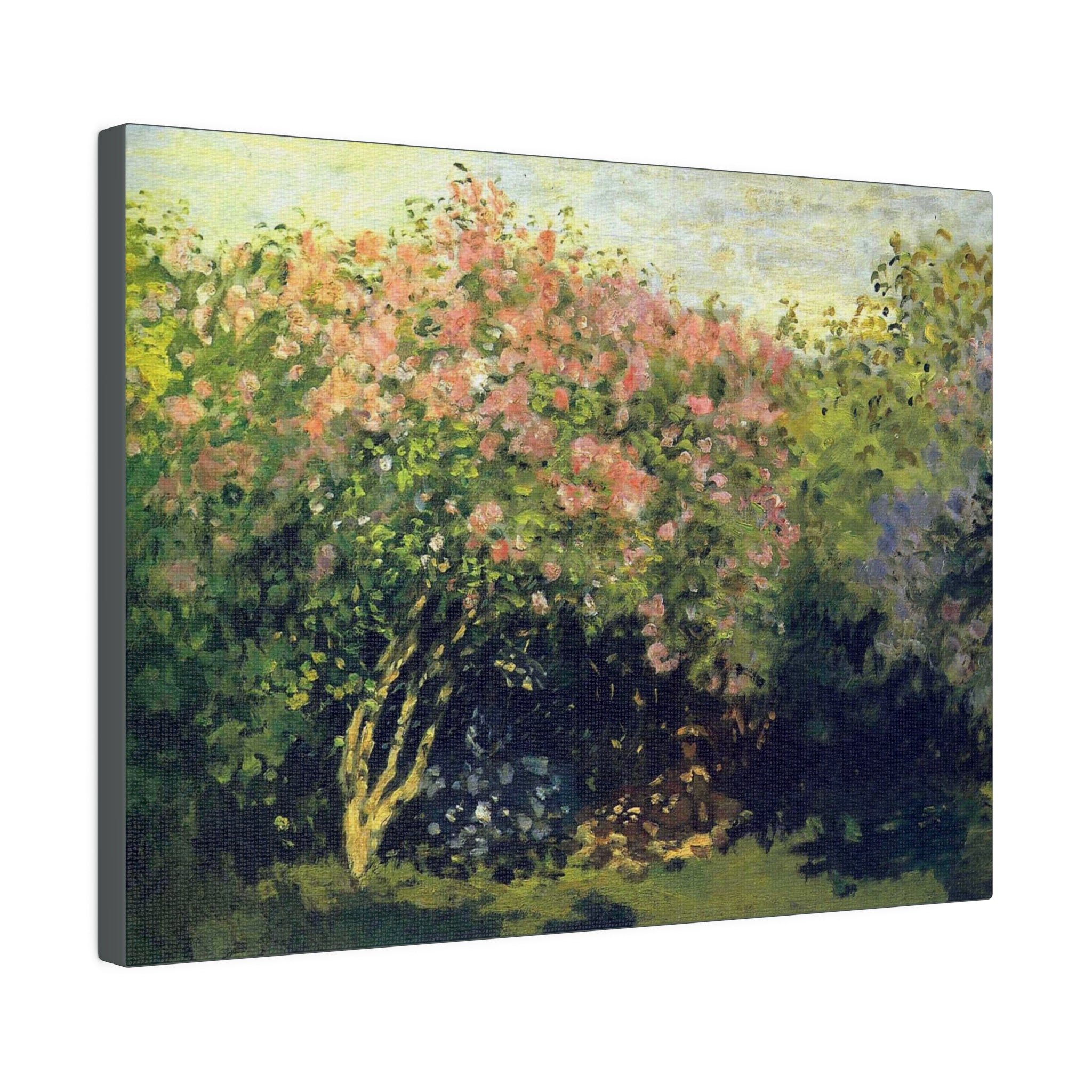 Lilacs in the Sun - Claude Monet - Matte Canvas, Stretched, 0.75" - Spruced Roost