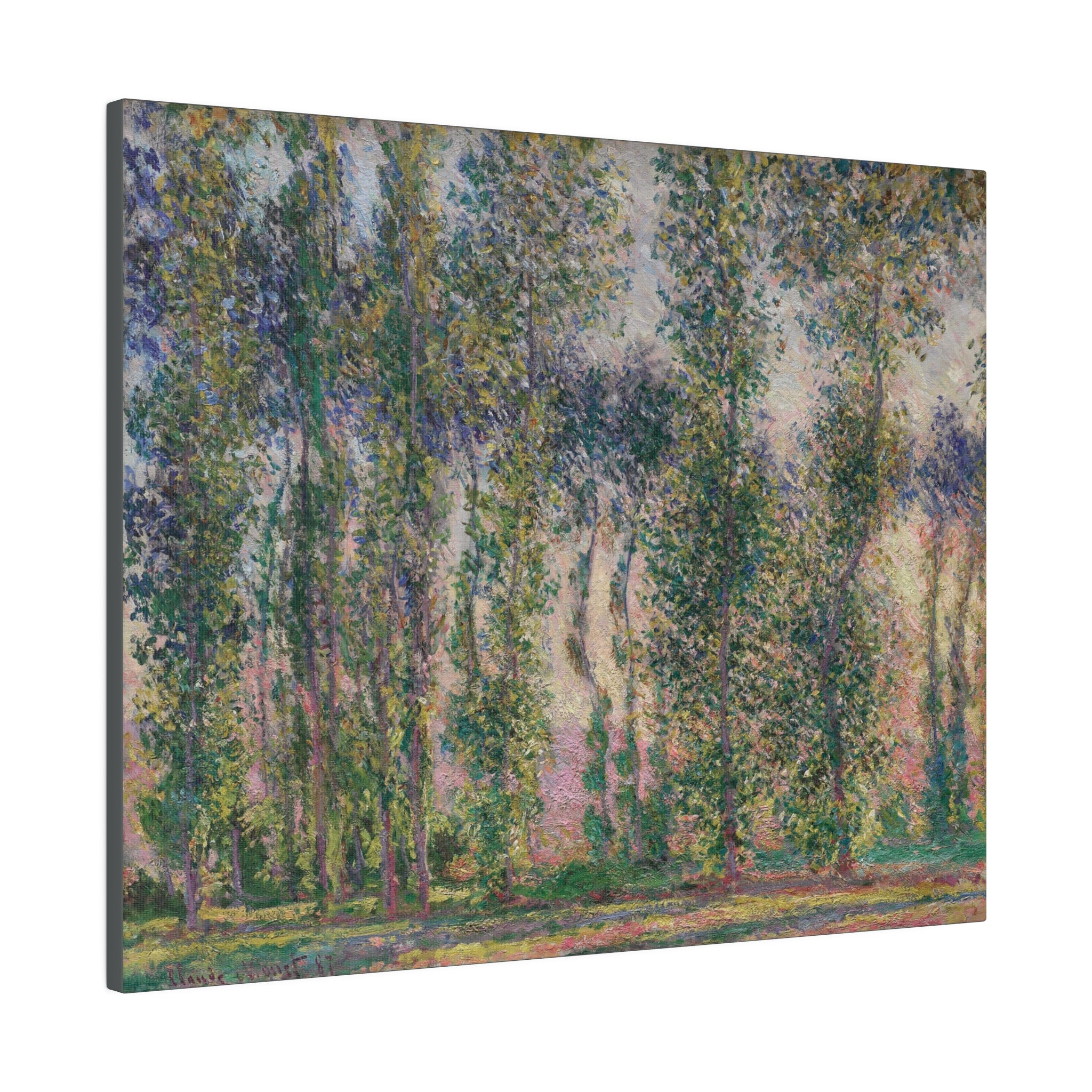 Poplars at Giverny 1887 Claude Monet - Matte Canvas, Stretched, 0.75" - Spruced Roost