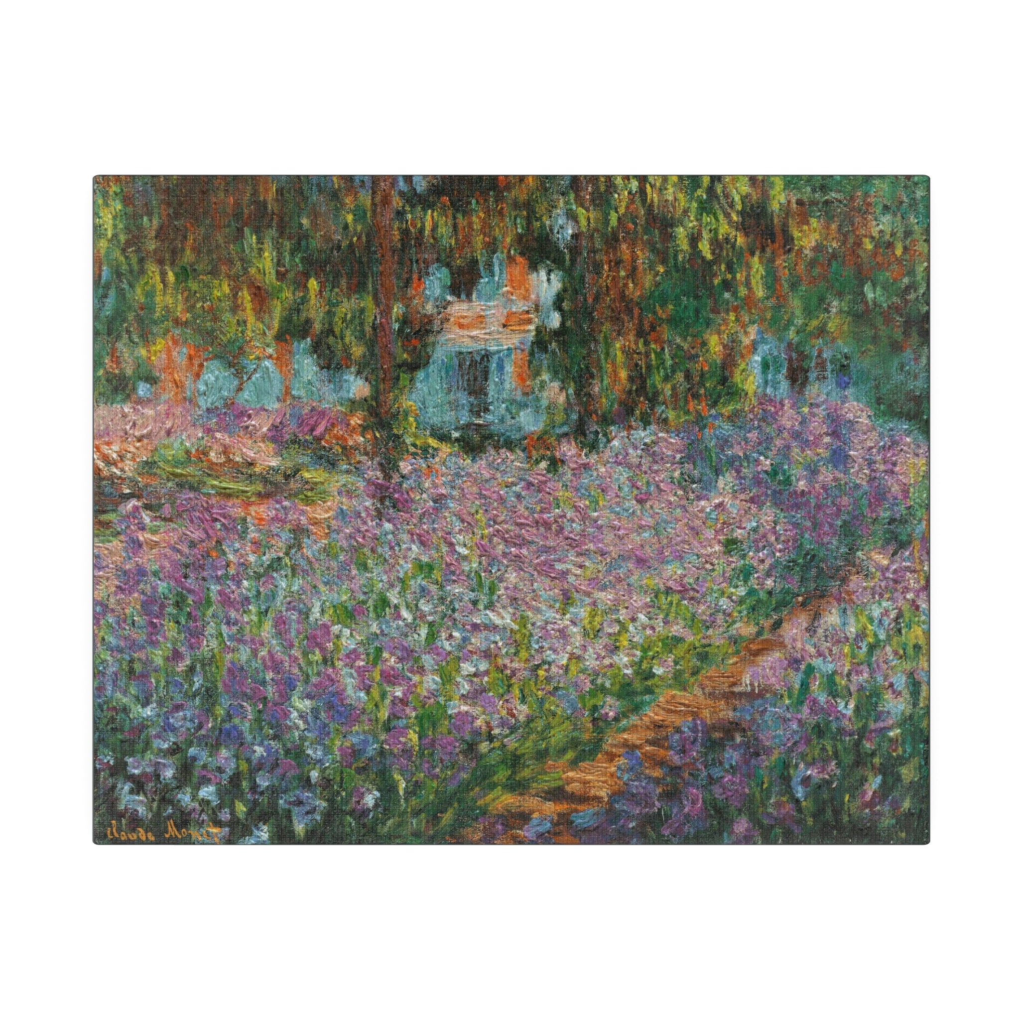 Iris's in Monet's Garden - Claude Monet Matte Canvas, Stretched, 0.75" - Spruced Roost