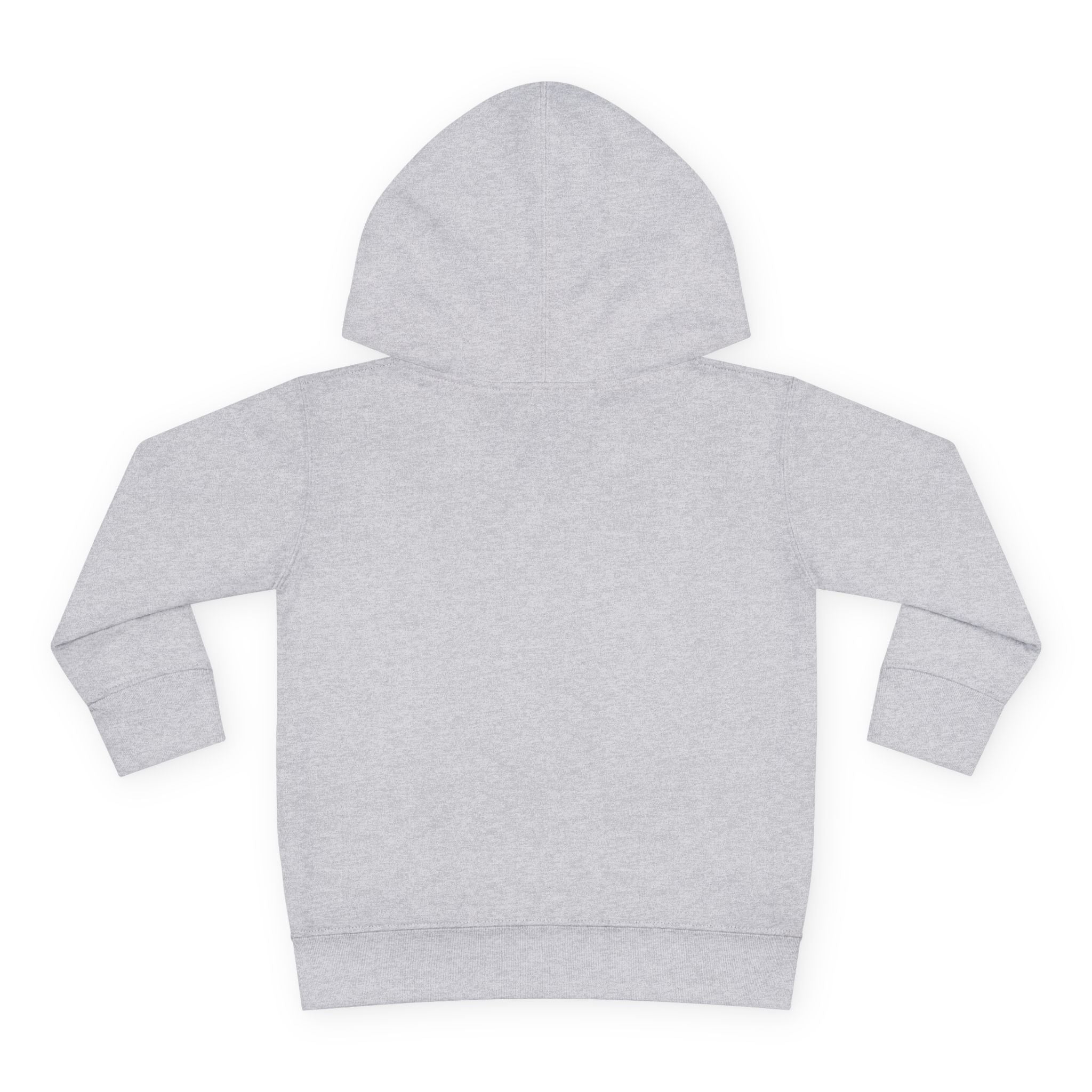 Bees Big Sister - Toddler Pullover Fleece Hoodie - Gift for Sisters