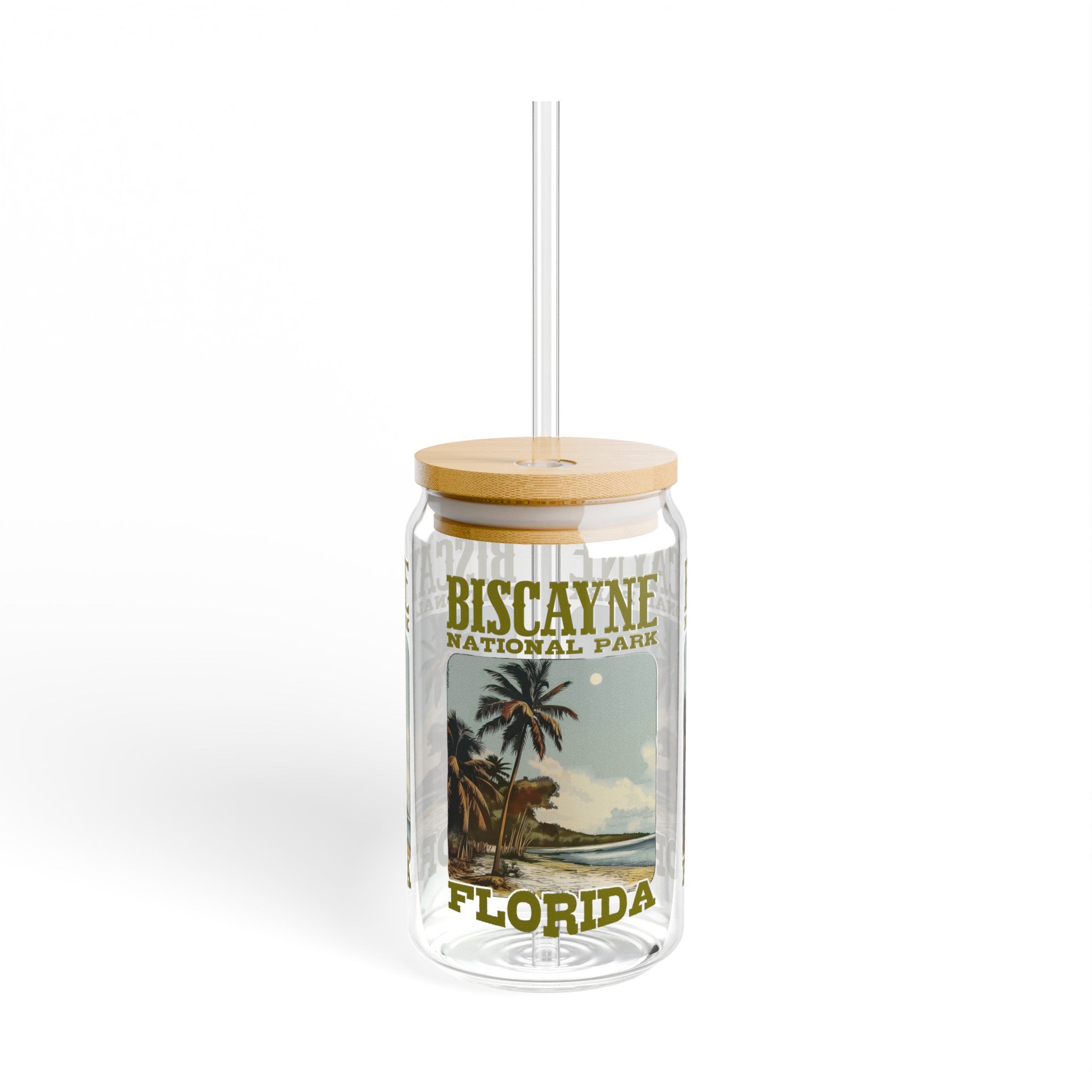 Biscayne National Park Florida - Sipper Glass, 16oz