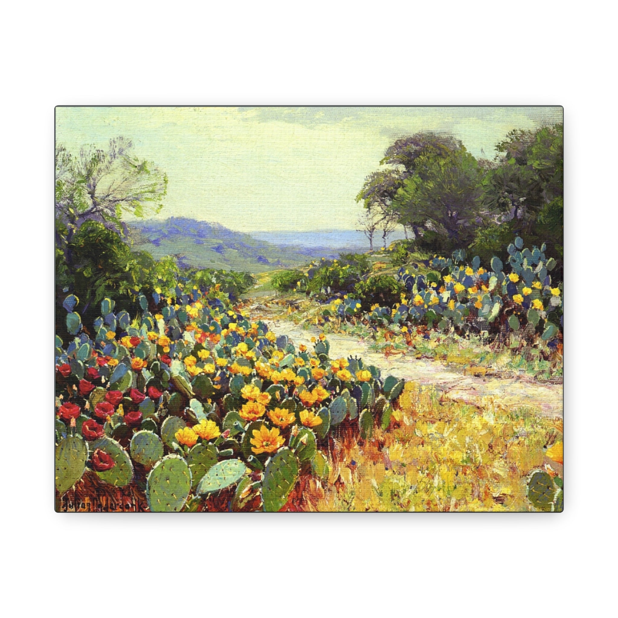 Cactus in Bloom - Julian Onderdonk - Canvas Gallery Wraps - Spruced Roost