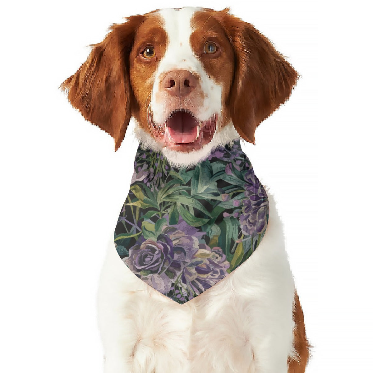 Tiptoe Purple Roses Pet's Scarf