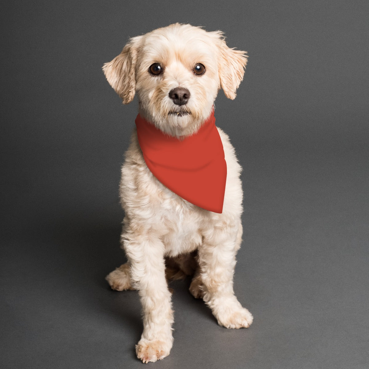 Russet Plaid Pet's Scarf