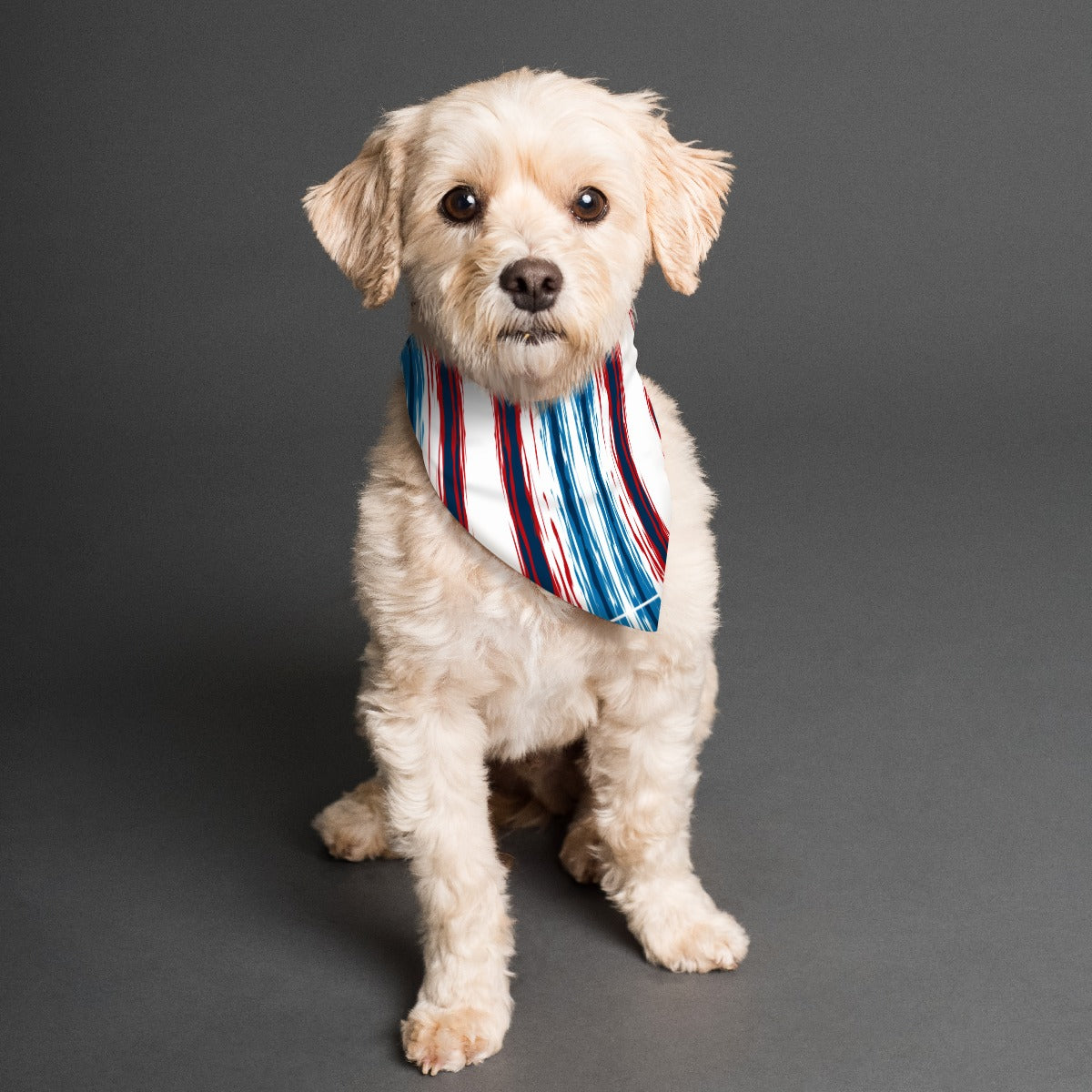 Patriotic Floral & Stripes Pet's Scarf