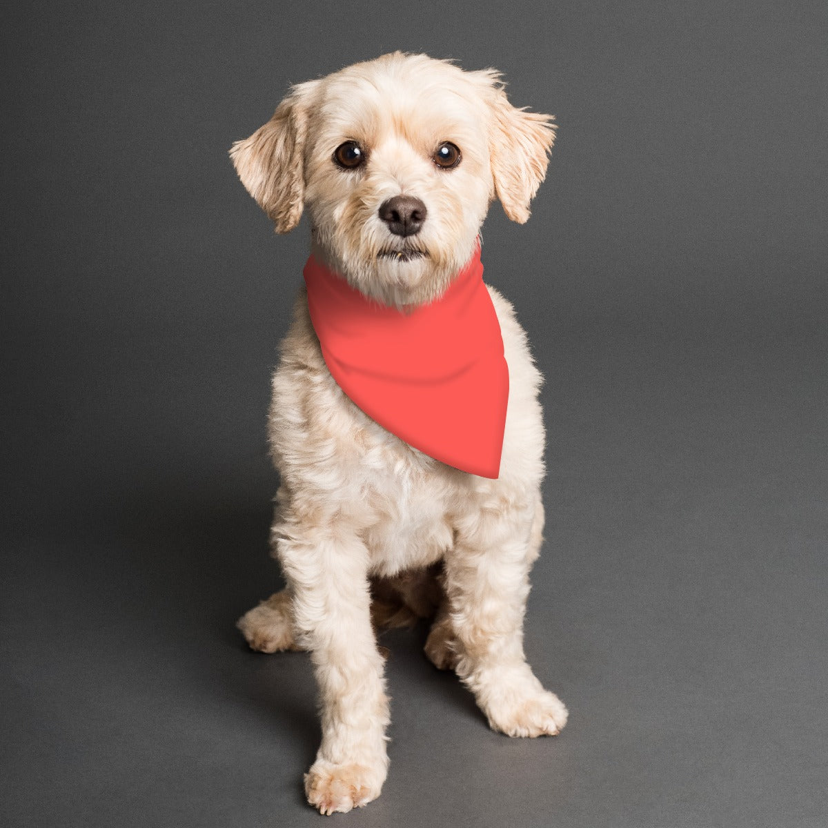 Sawtooth Mountains Pet's Scarf