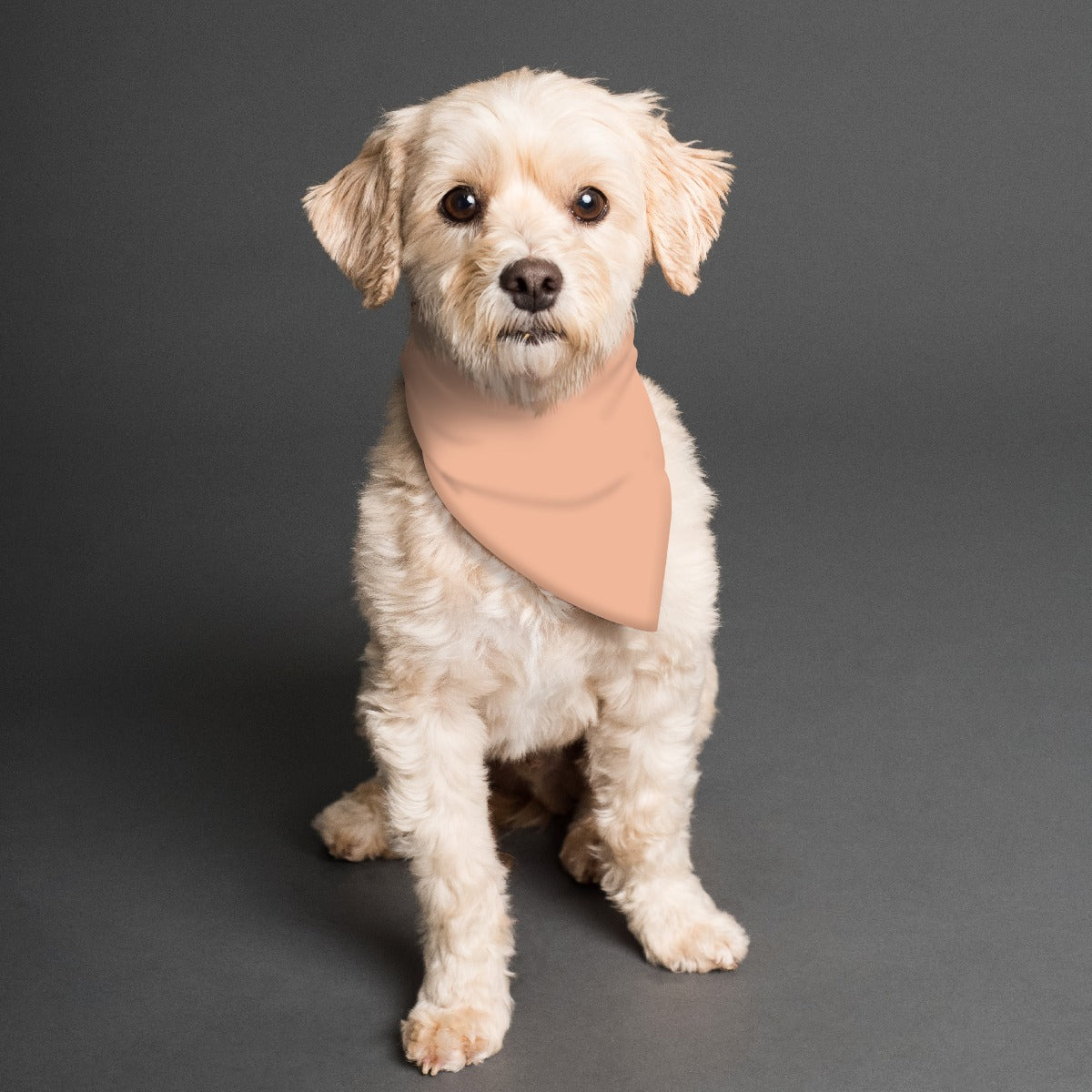 Pink Chambray Pet's Scarf