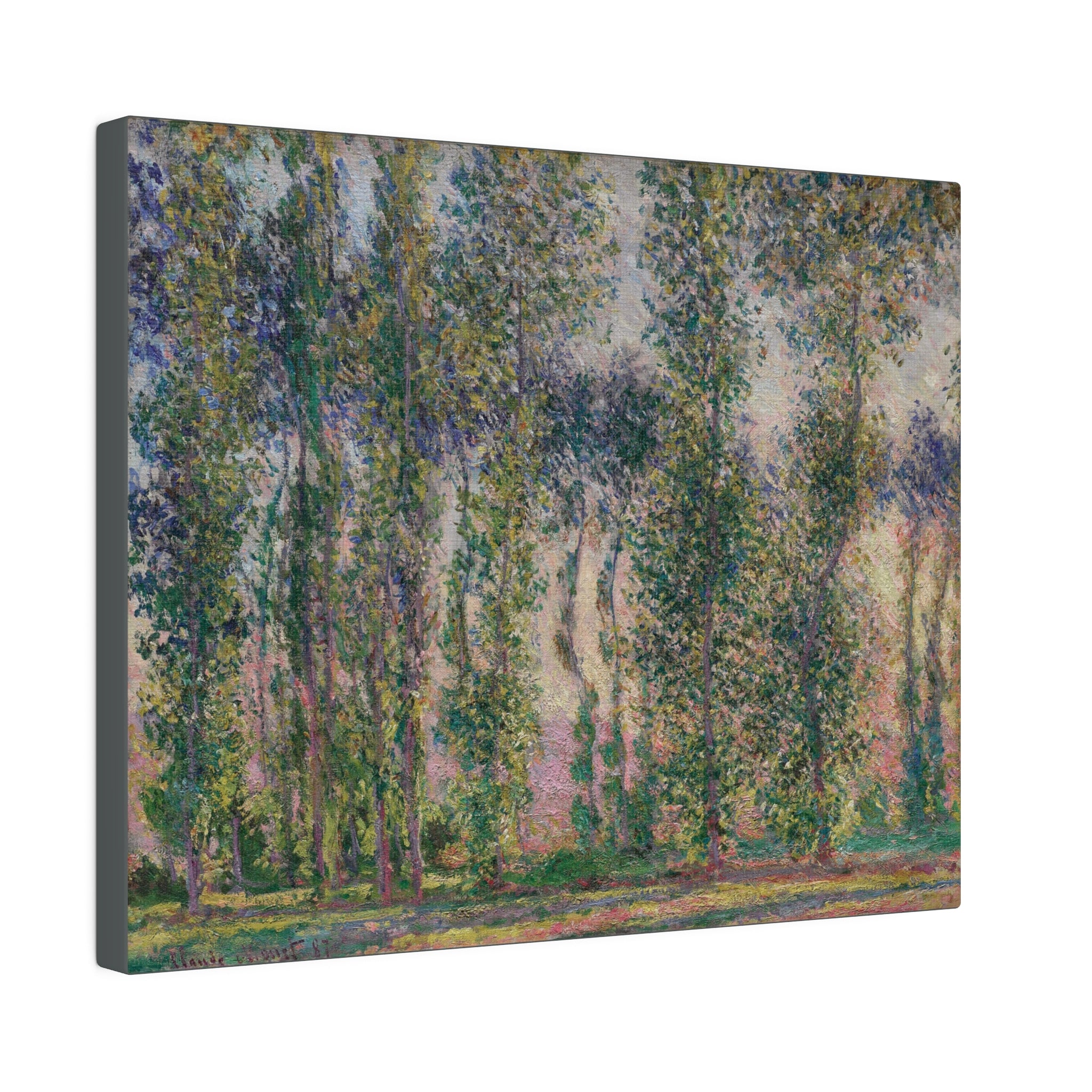 Poplars at Giverny 1887 Claude Monet - Matte Canvas, Stretched, 0.75" - Spruced Roost
