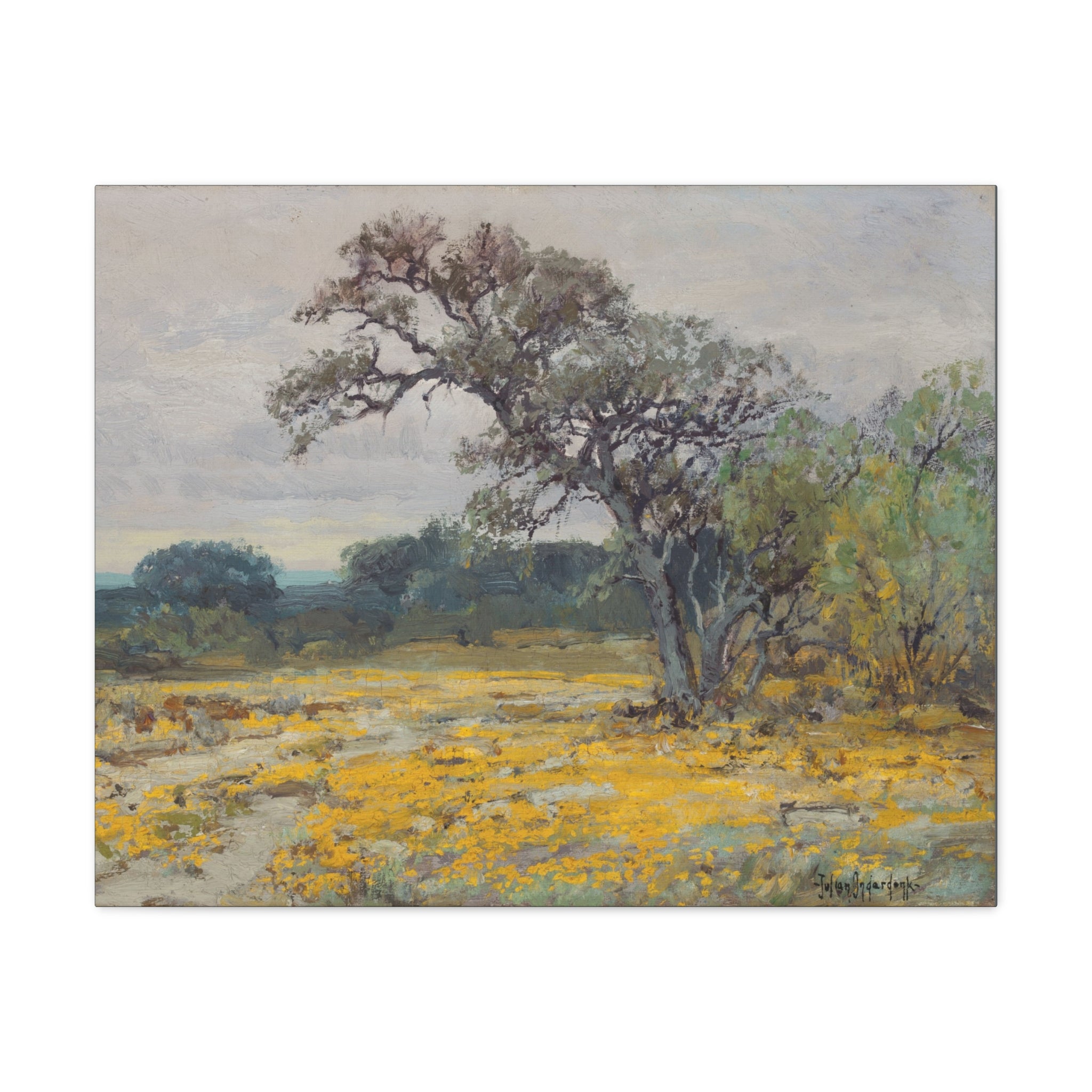 Coreopsis, Texas, 1919 - Julian Onderdonk - Canvas Gallery Wraps - Spruced Roost