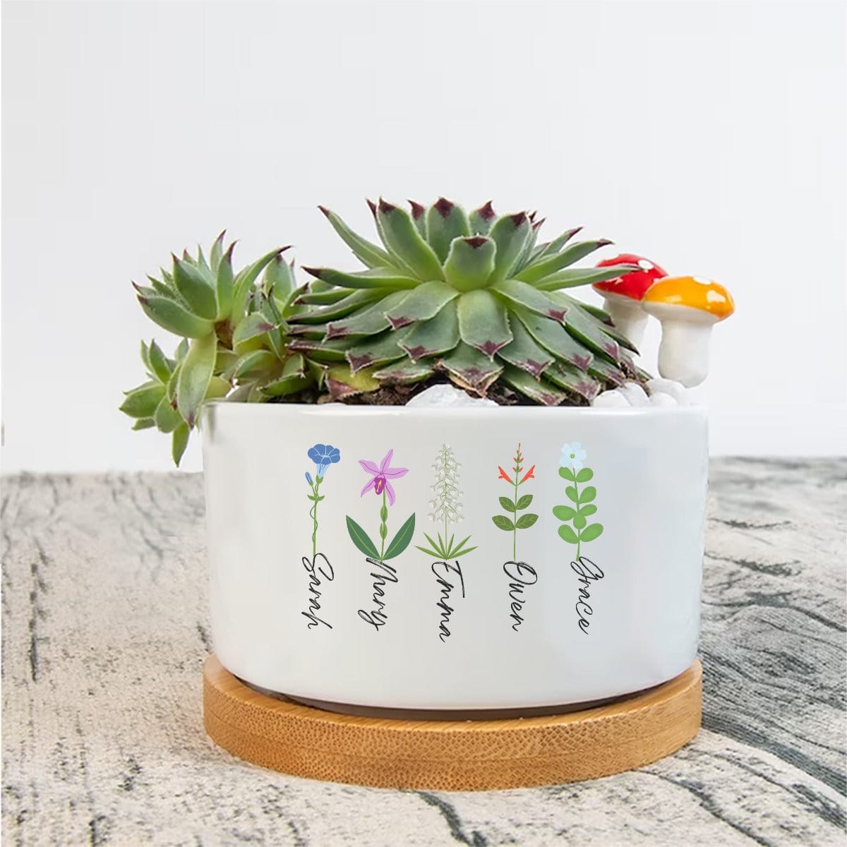 Yoycol M / White Mother's Flowerpot - Customized names of flowers  up to 6 names