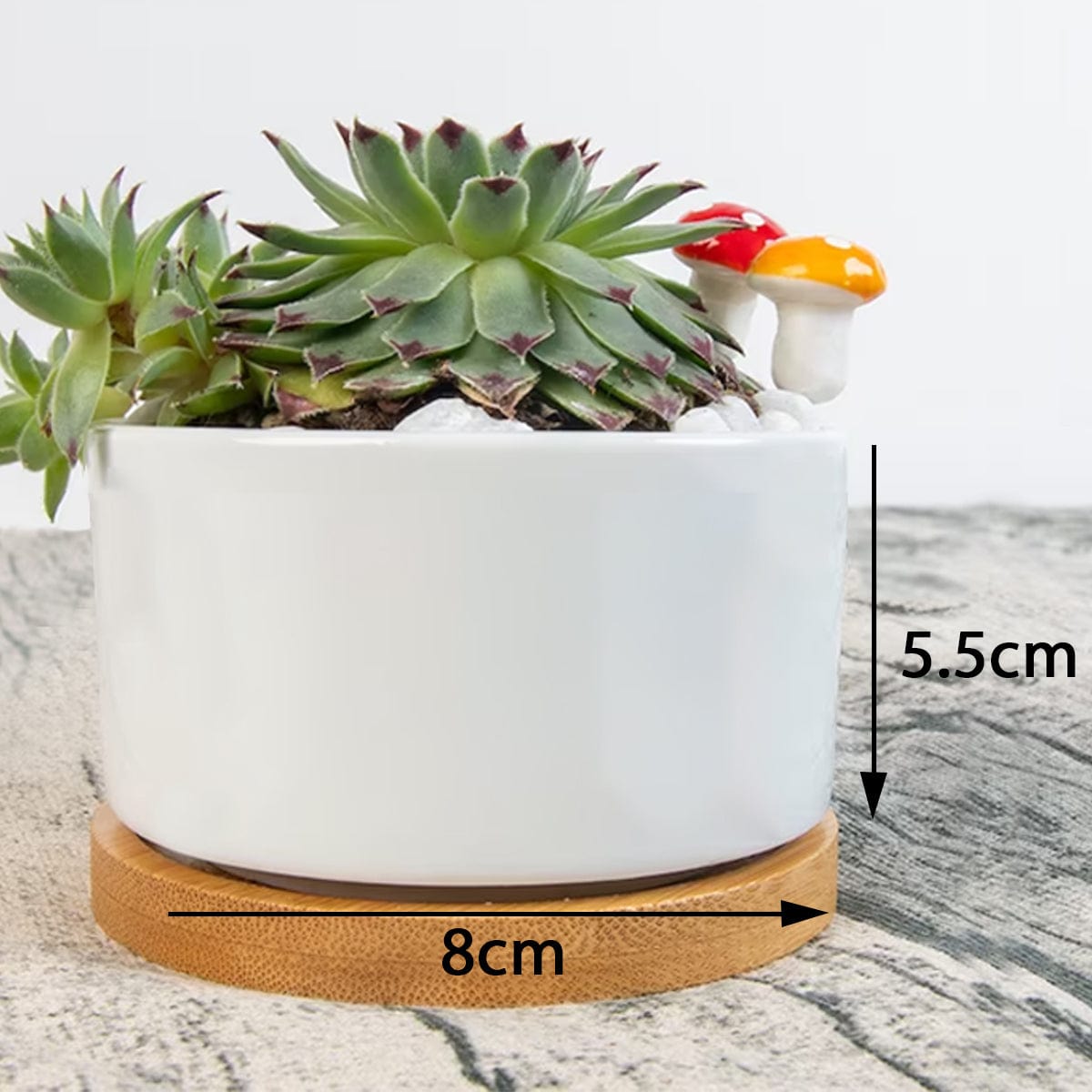 Yoycol M / White Mother's Flowerpot - Customized names of flowers up to 6 names