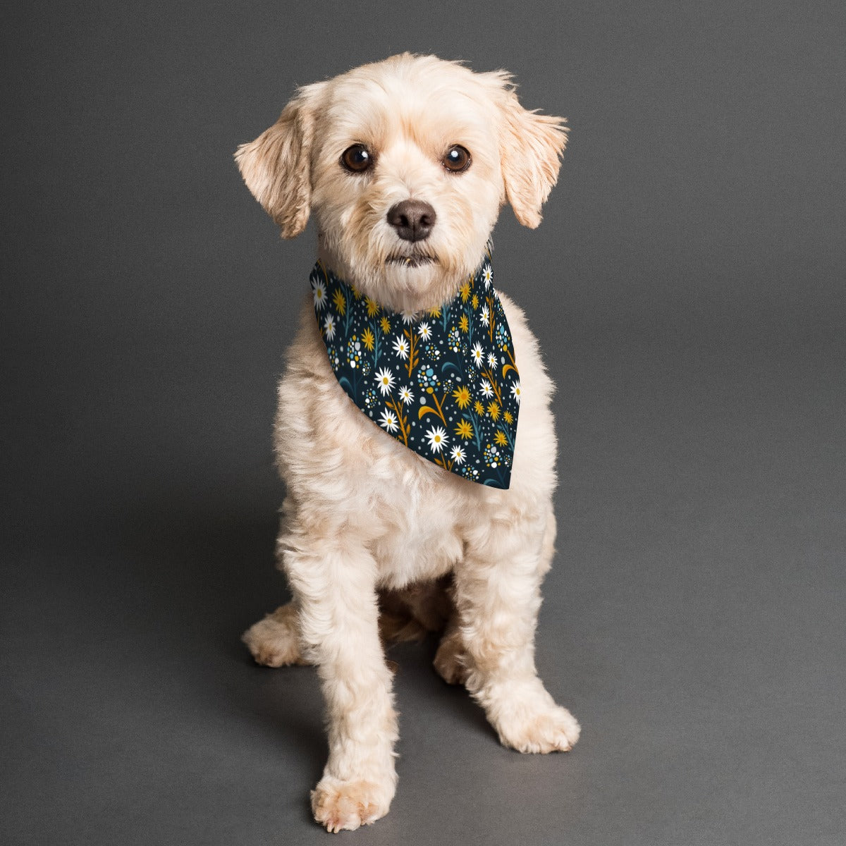 Pet Bandanas & Collars