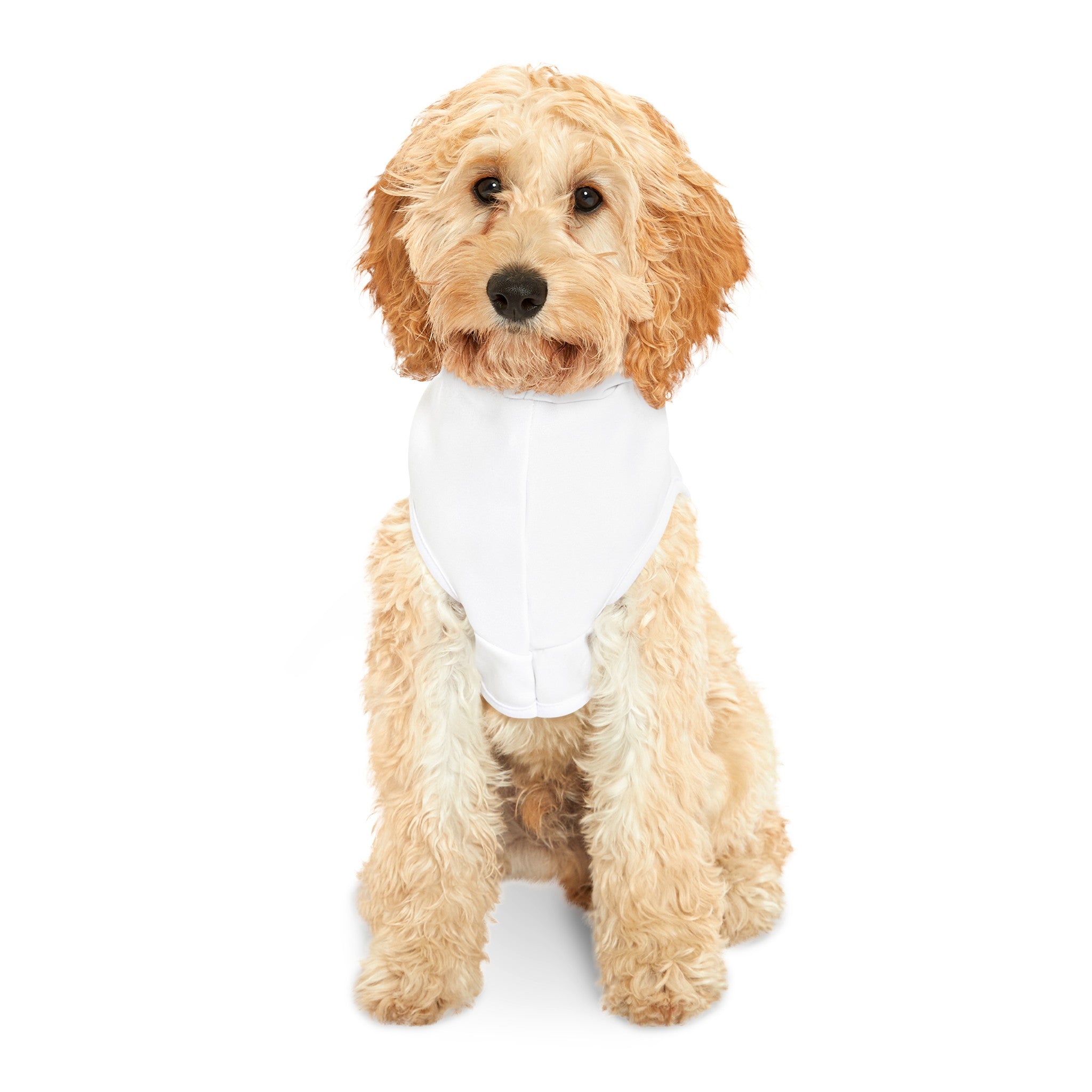 Pickleball Social Club - Pet Hoodie