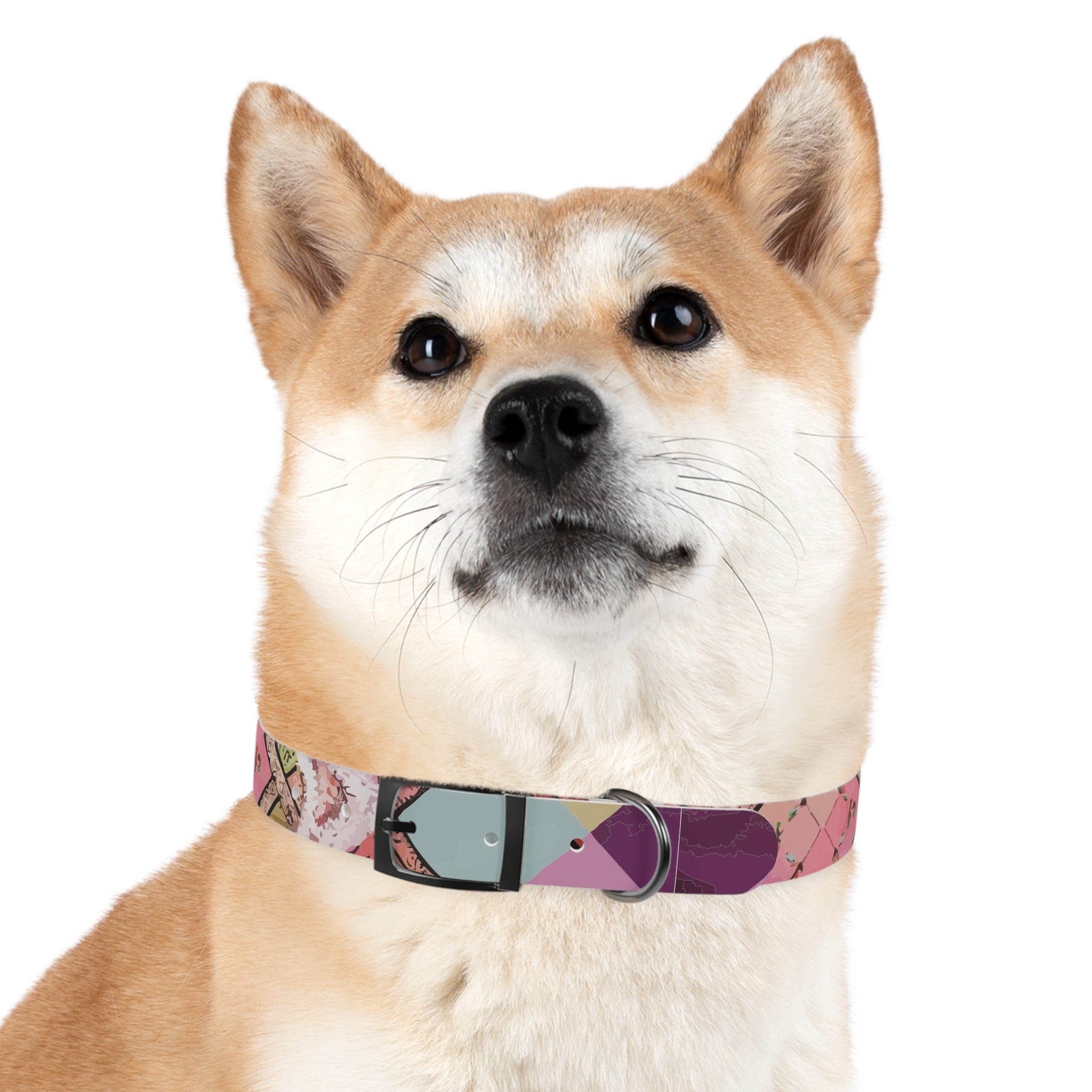 Madras Lace - Dog Collar