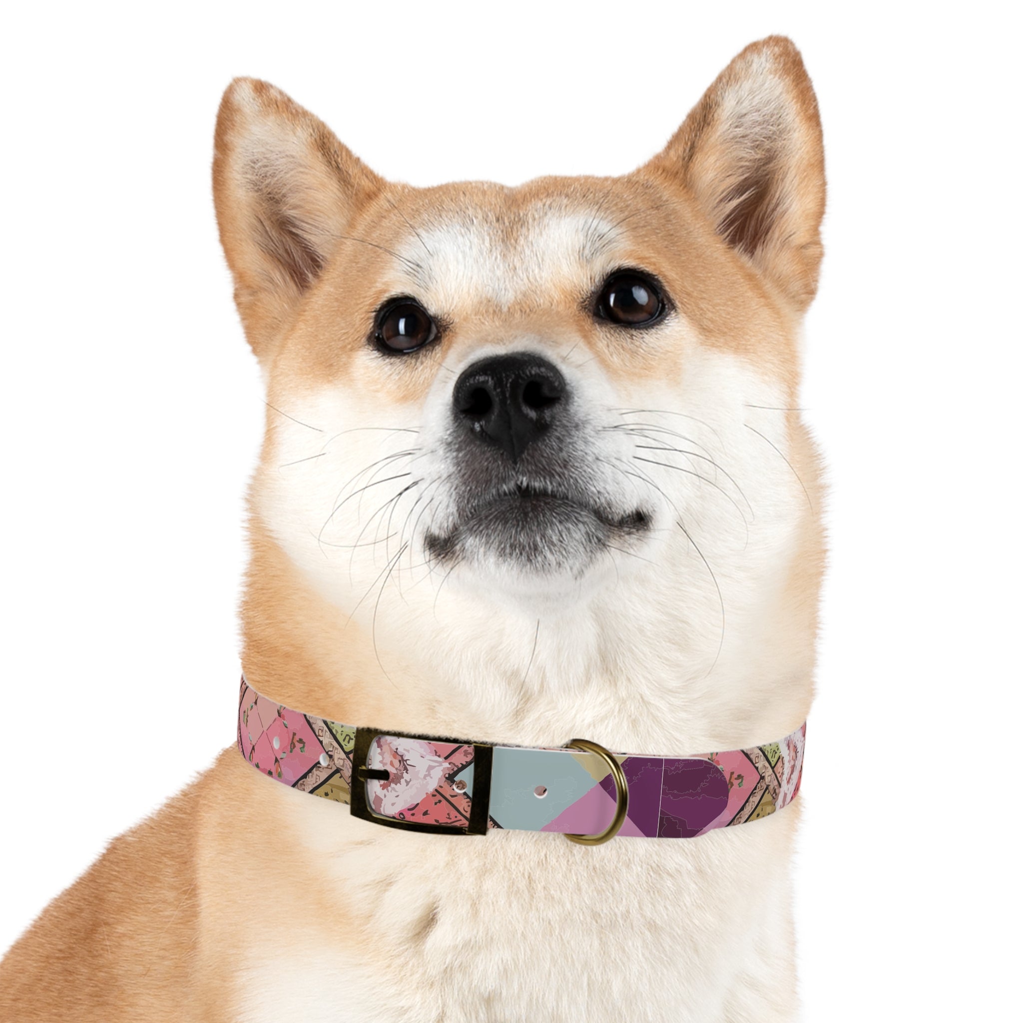 Madras Lace - Dog Collar
