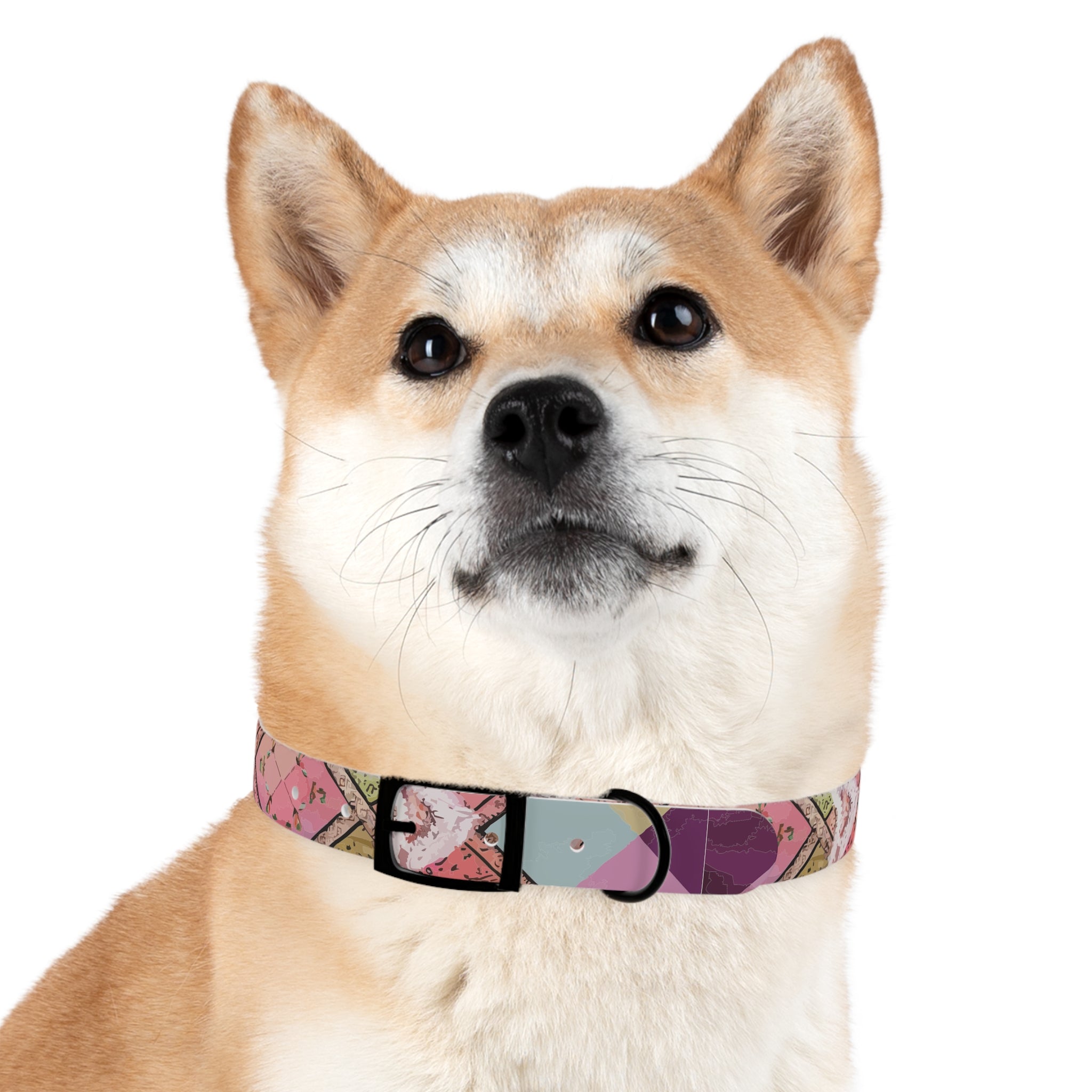 Madras Lace - Dog Collar