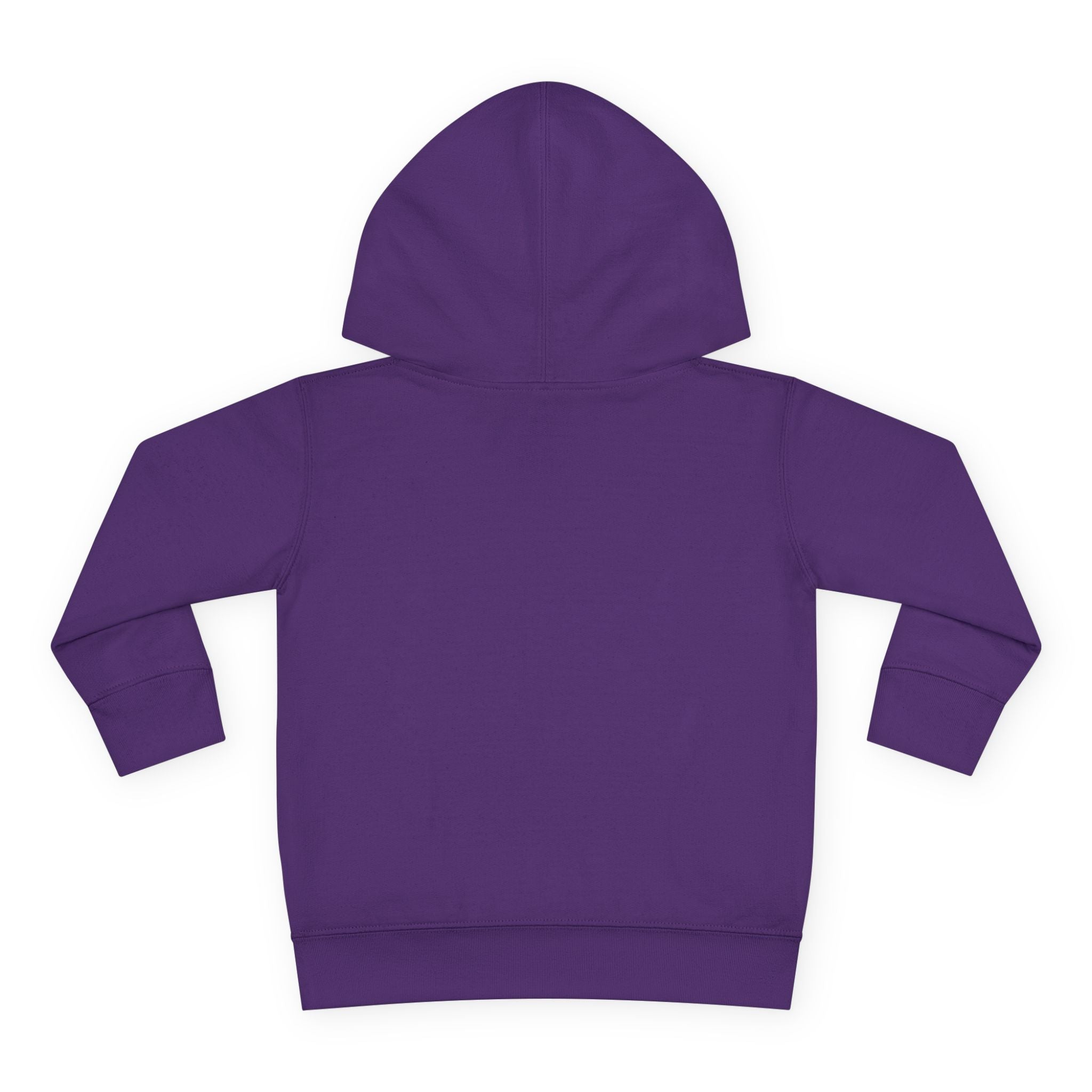 Butterfly Big Sister - Toddler Pullover Fleece Hoodie - 2T, 4T, 6T