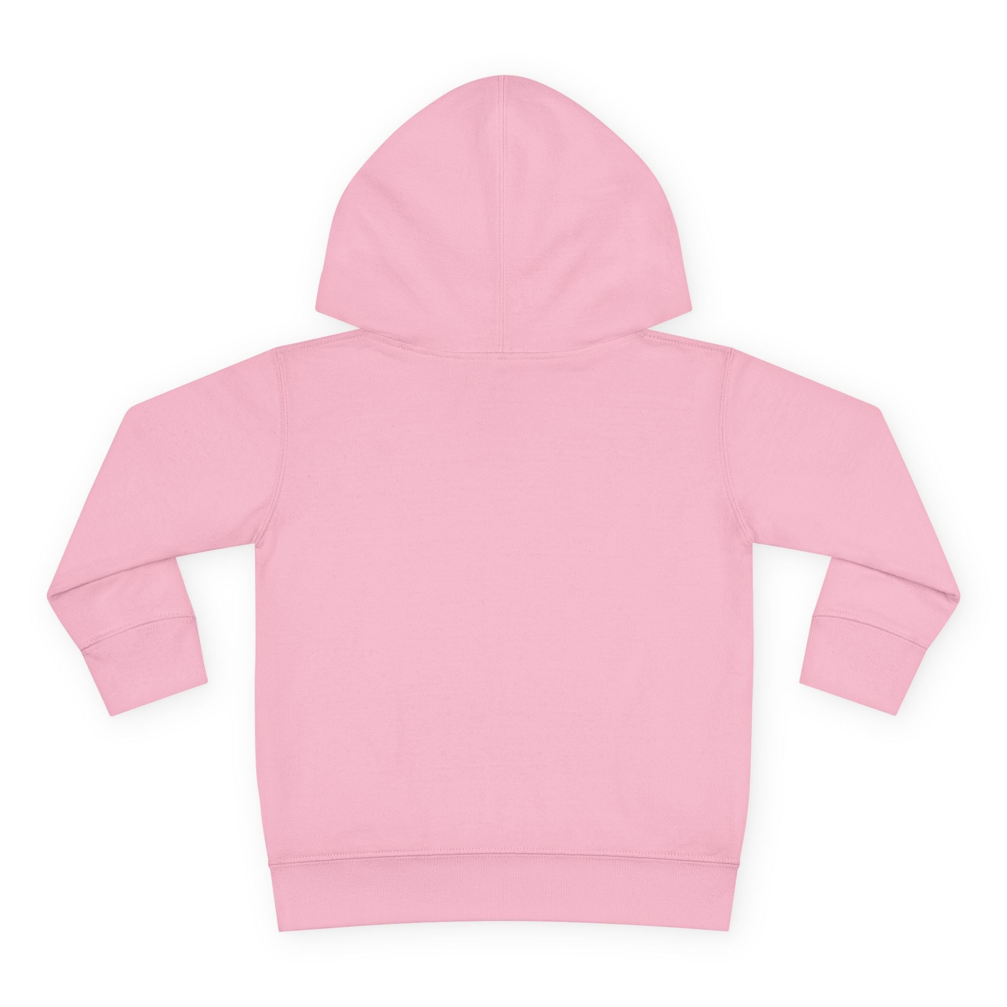 Butterfly Big Sister - Toddler Pullover Fleece Hoodie - 2T, 4T, 6T