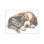 Puppy and Kitty Cuddles - Kiss-Cut Stickers