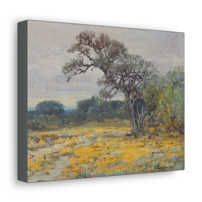 Coreopsis, Texas, 1919 - Julian Onderdonk -  Canvas Gallery Wraps