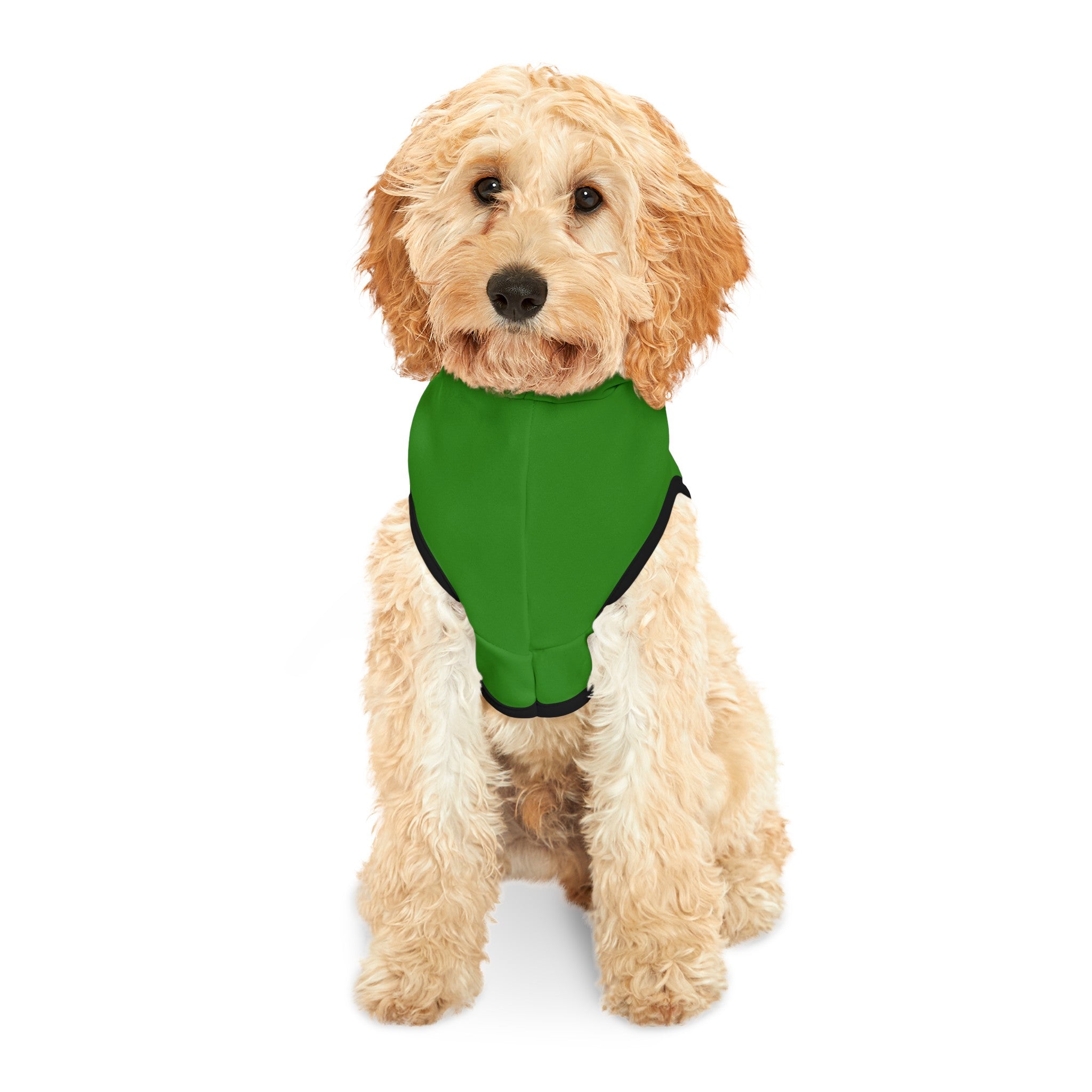 Pickleball Social Club - Pet Hoodie