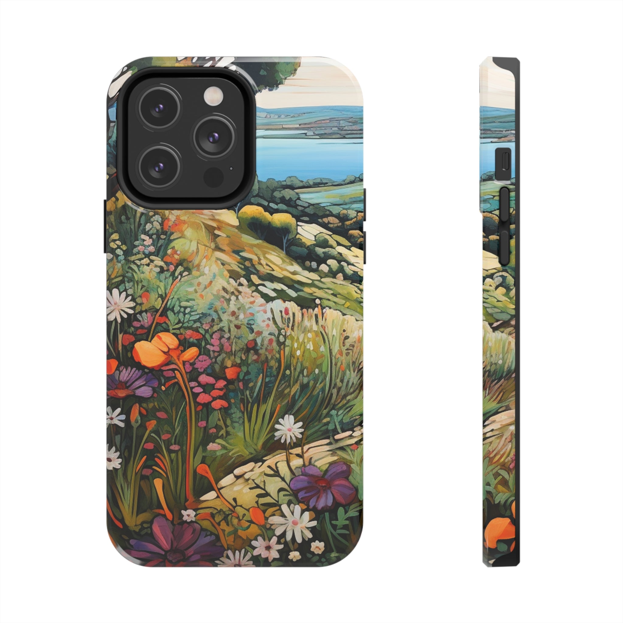 Vista View - iPhone Tough Cases