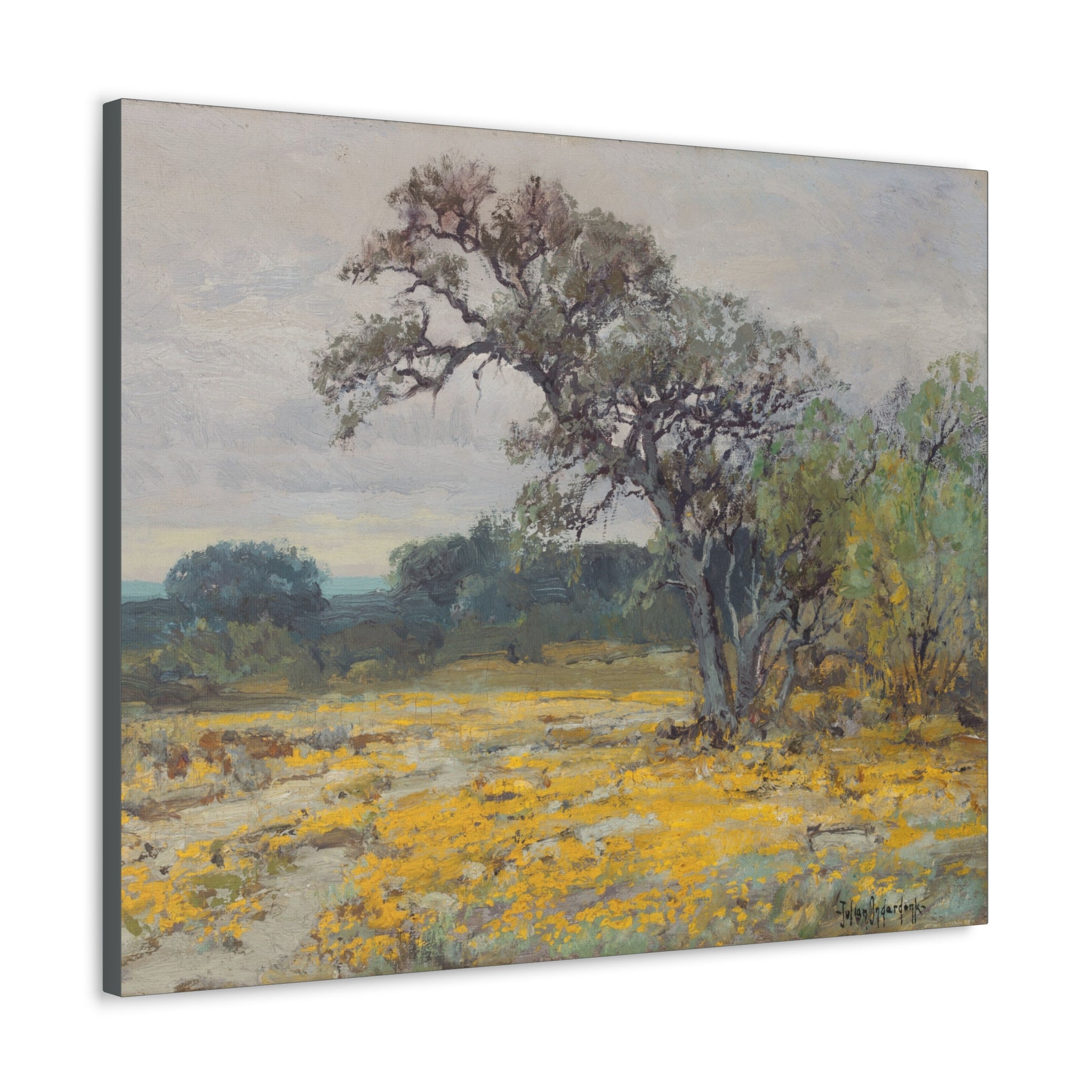 Coreopsis, Texas, 1919 - Julian Onderdonk -  Canvas Gallery Wraps - Spruced Roost