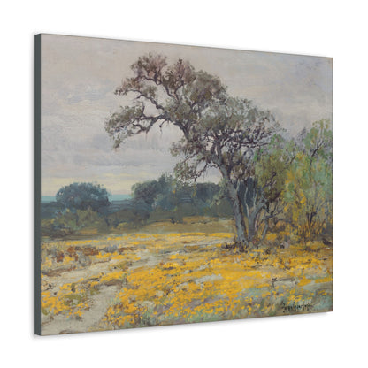 Coreopsis, Texas, 1919 - Julian Onderdonk -  Canvas Gallery Wraps