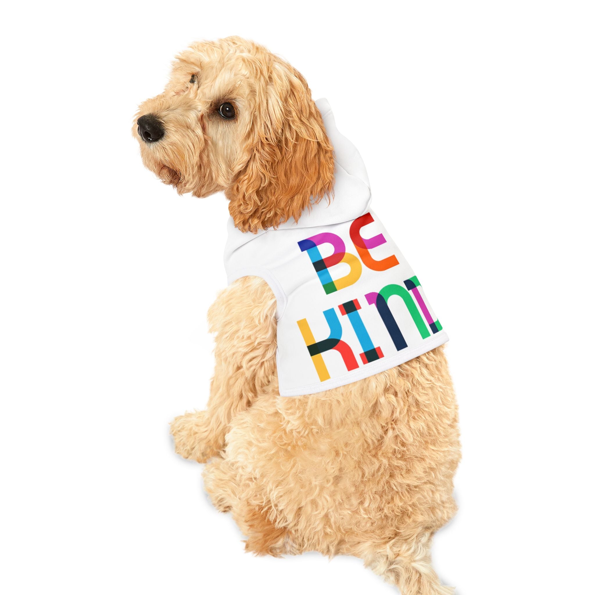 Be Kind Rainbow Pet Hoodie