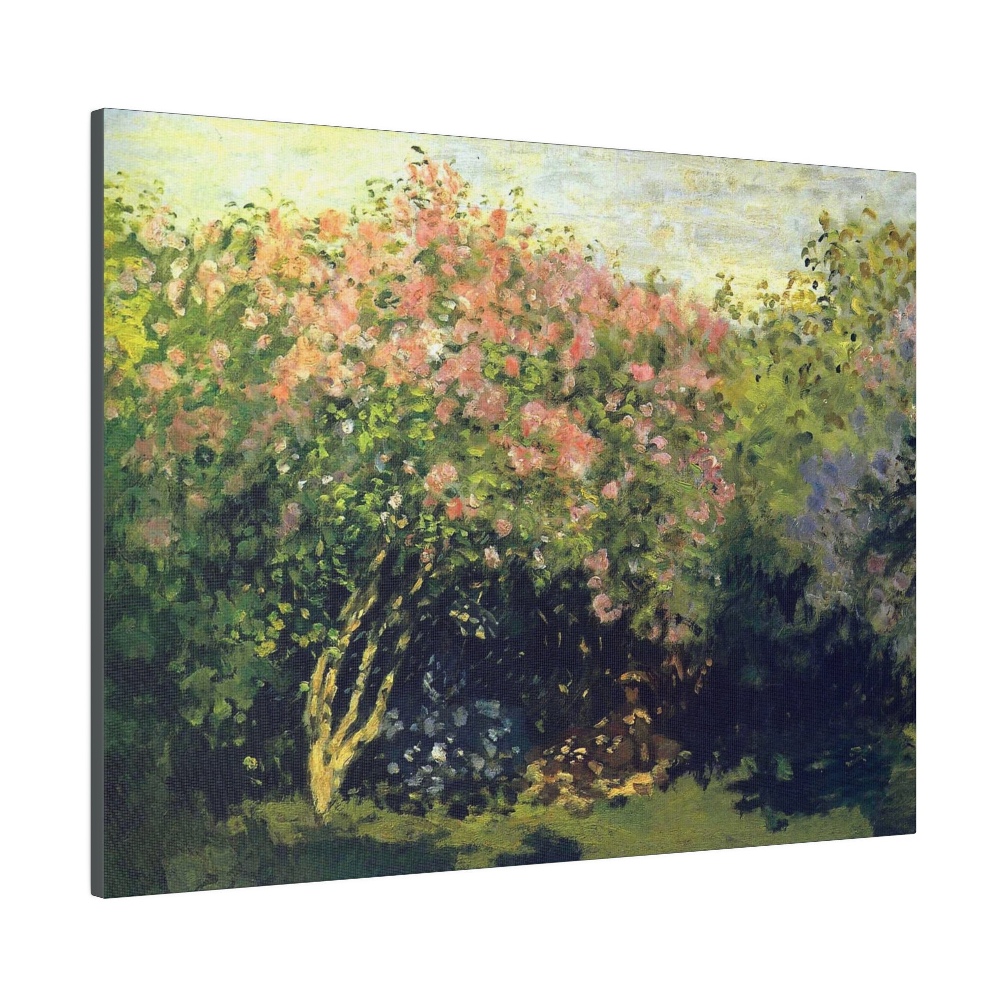 Lilacs in the Sun - Claude Monet - Matte Canvas, Stretched, 0.75" - Spruced Roost