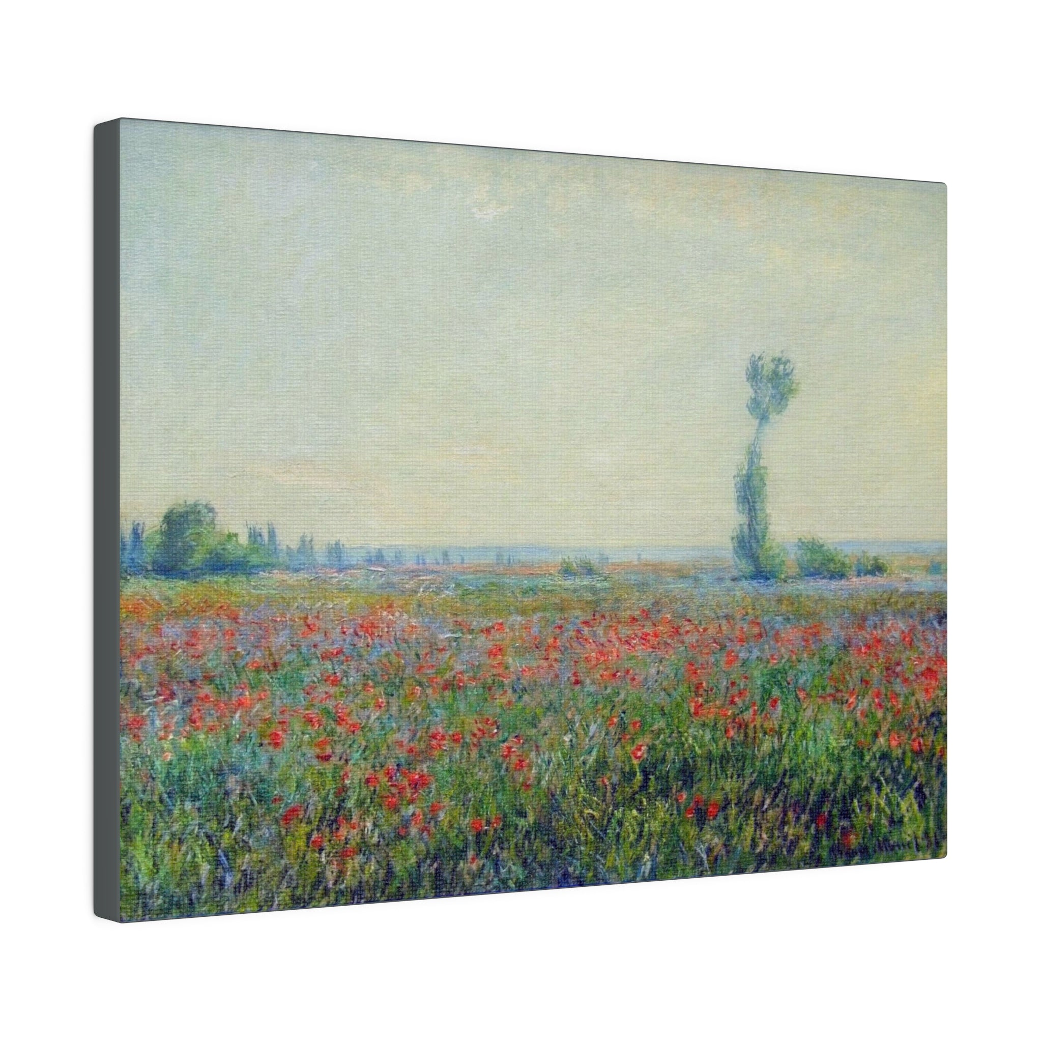 Poppy Field Claude Monet - Matte Canvas, Stretched, 0.75"