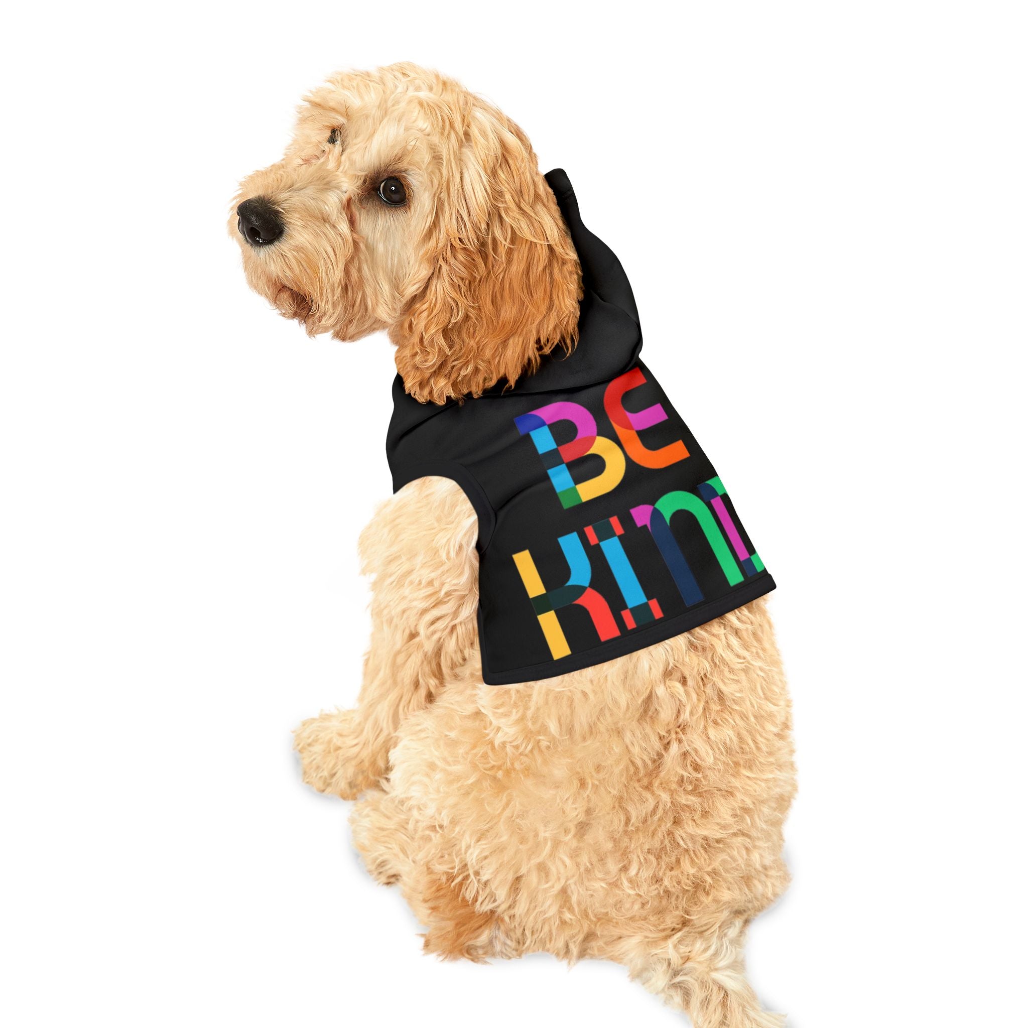 Be Kind Rainbow Pet Hoodie