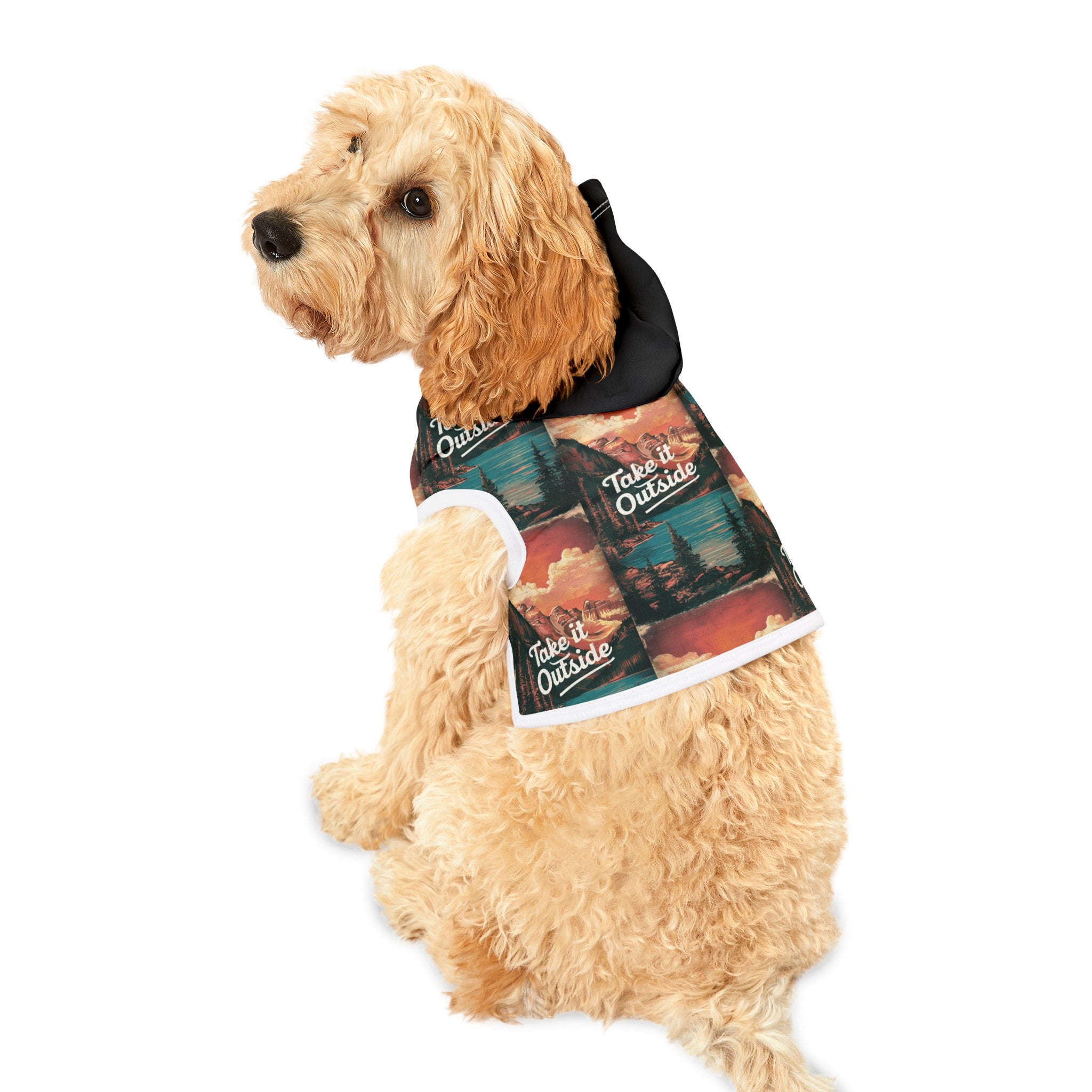 Take it Outside - Pet Hoodie