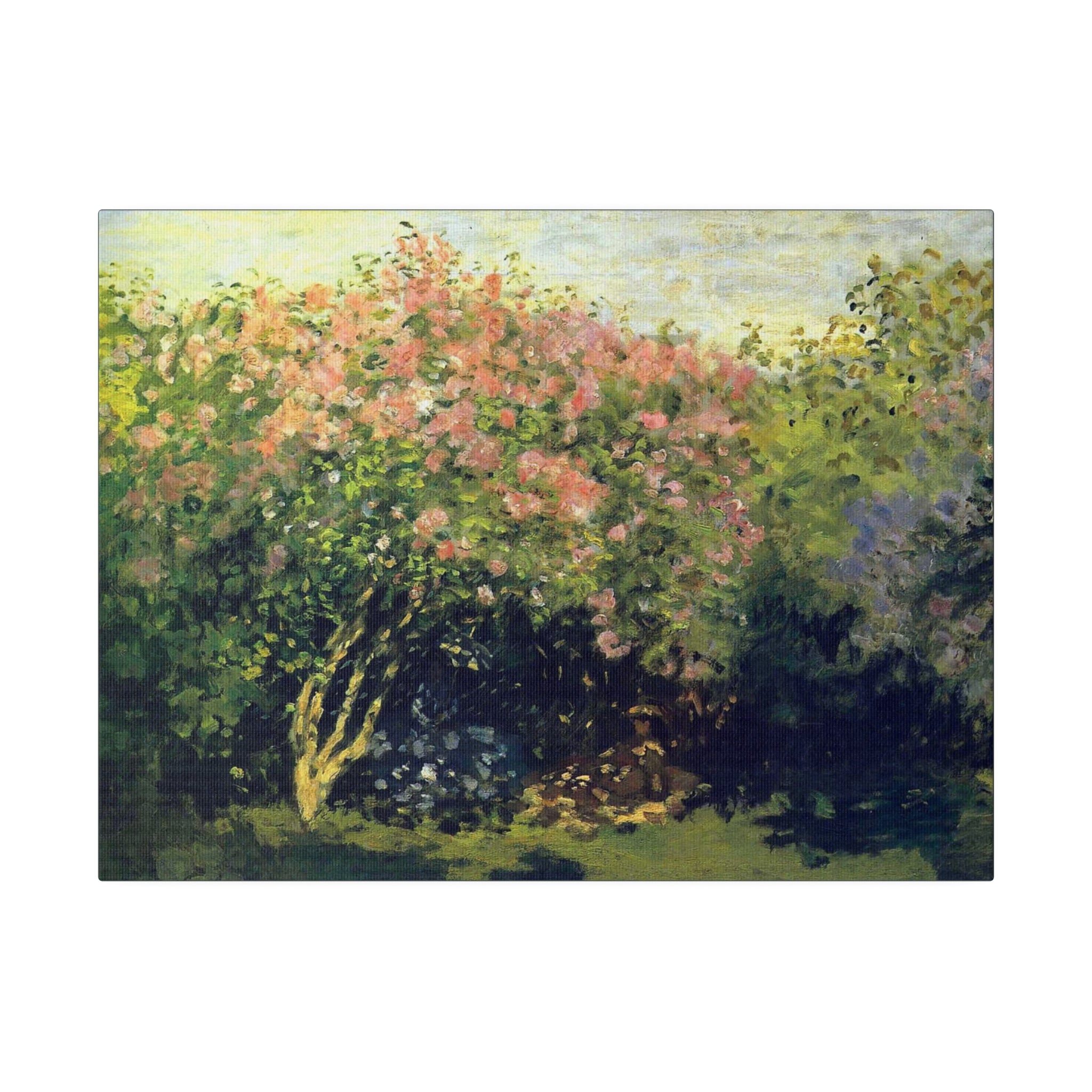 Lilacs in the Sun - Claude Monet - Matte Canvas, Stretched, 0.75" - Spruced Roost
