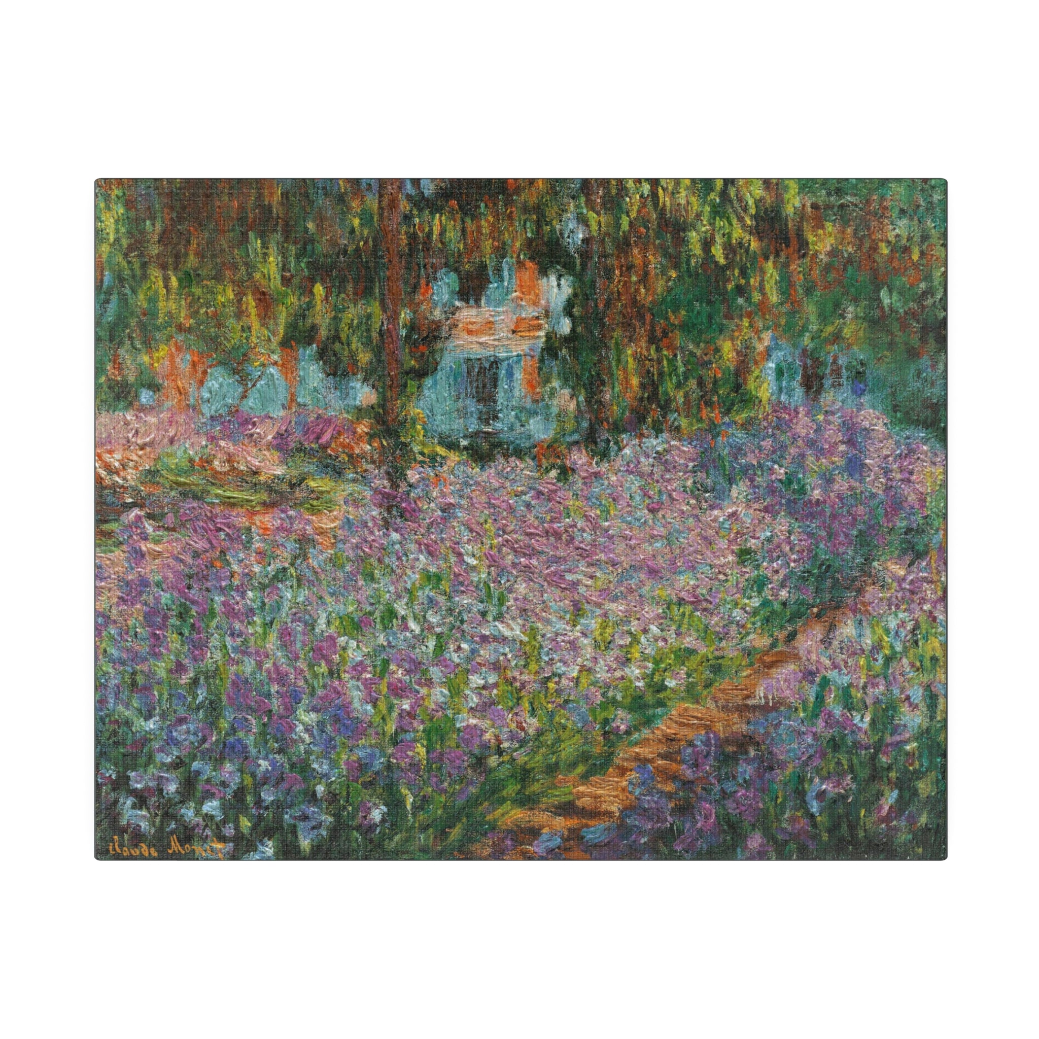 Iris's in Monet's Garden - Claude Monet Matte Canvas, Stretched, 0.75"