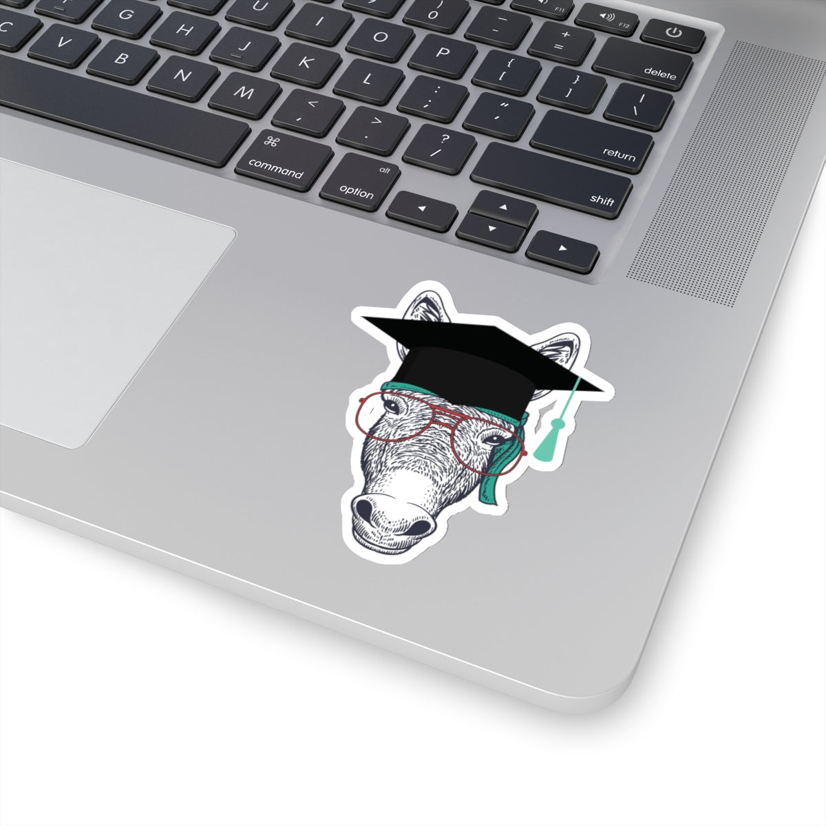 Smart Ass Donkey - Kiss-Cut Stickers