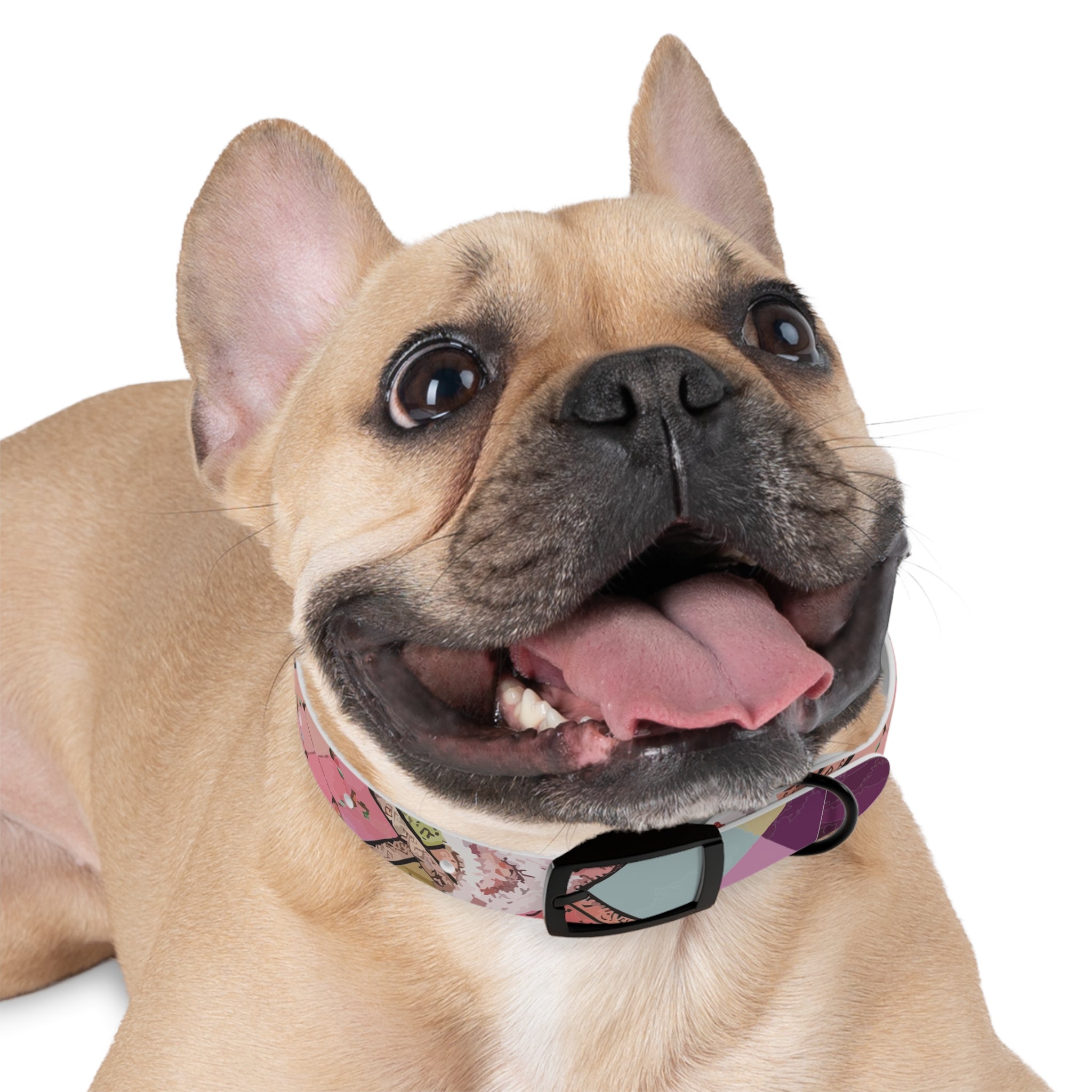 Madras Lace - Dog Collar