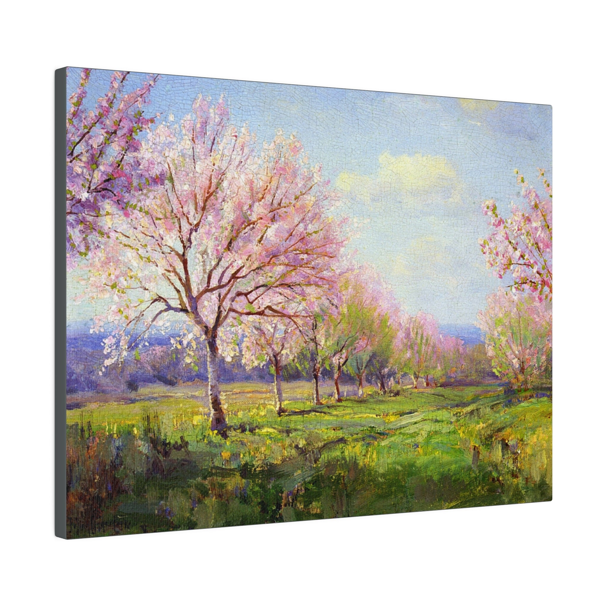 Peach Orchard on Mavericks Farm - Julian Onderdonk - Matte Canvas, Stretched, 0.75" - Spruced Roost